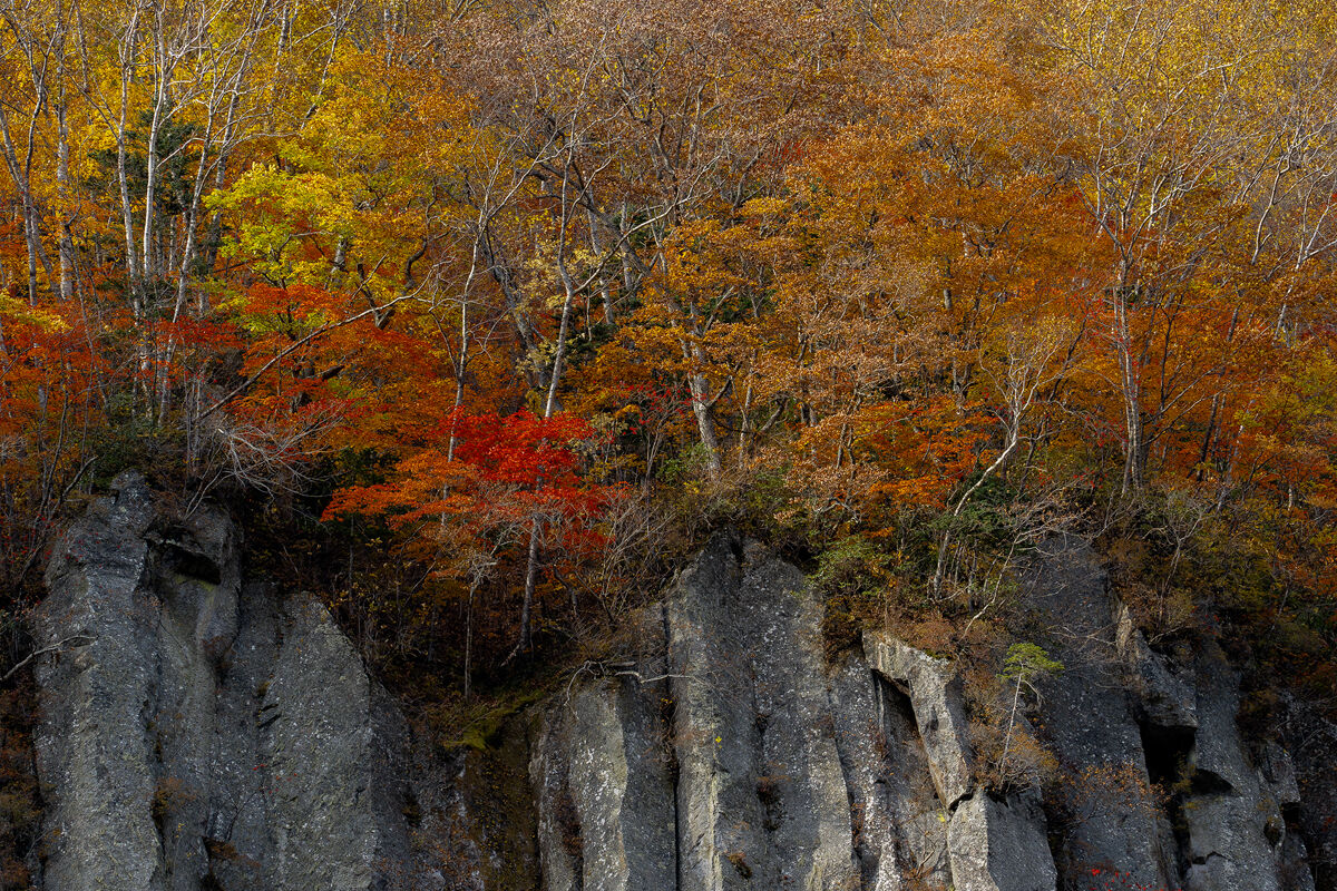 Fall in Hokkaido