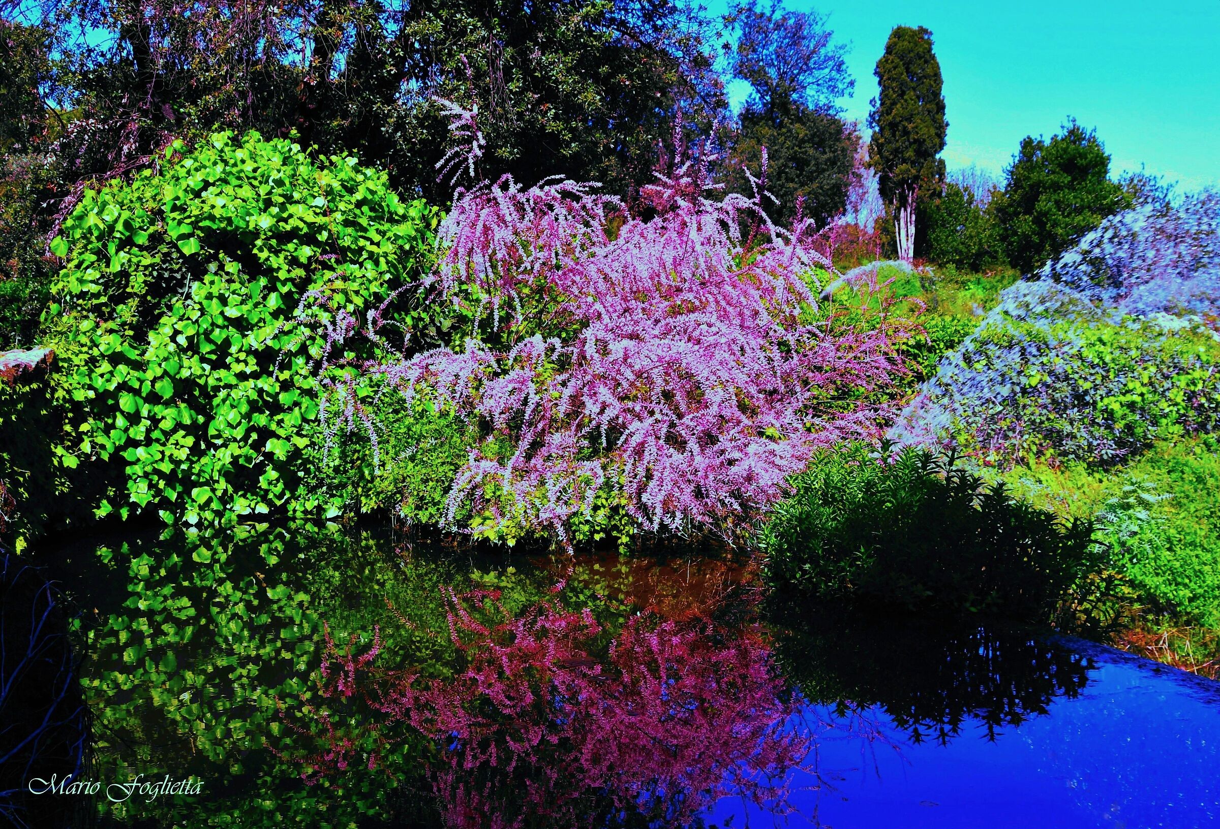 Colors and reflections