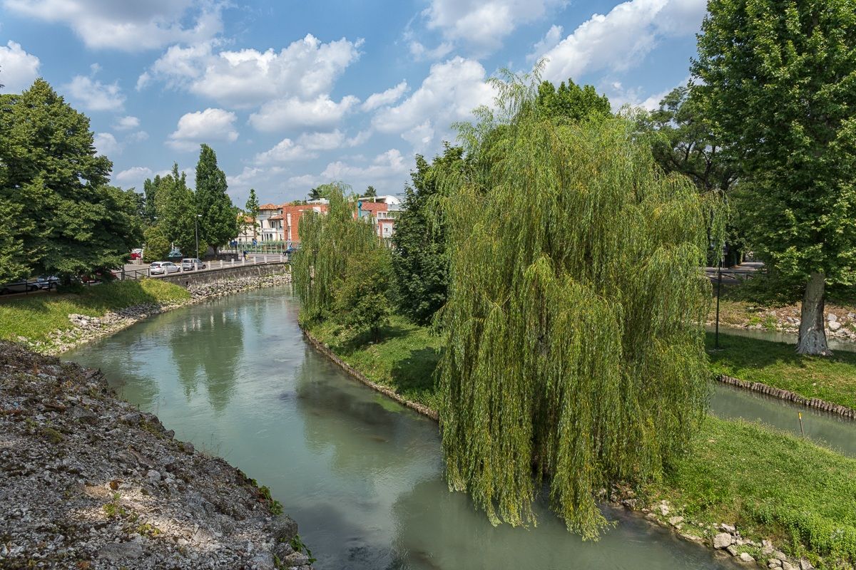 Treviso