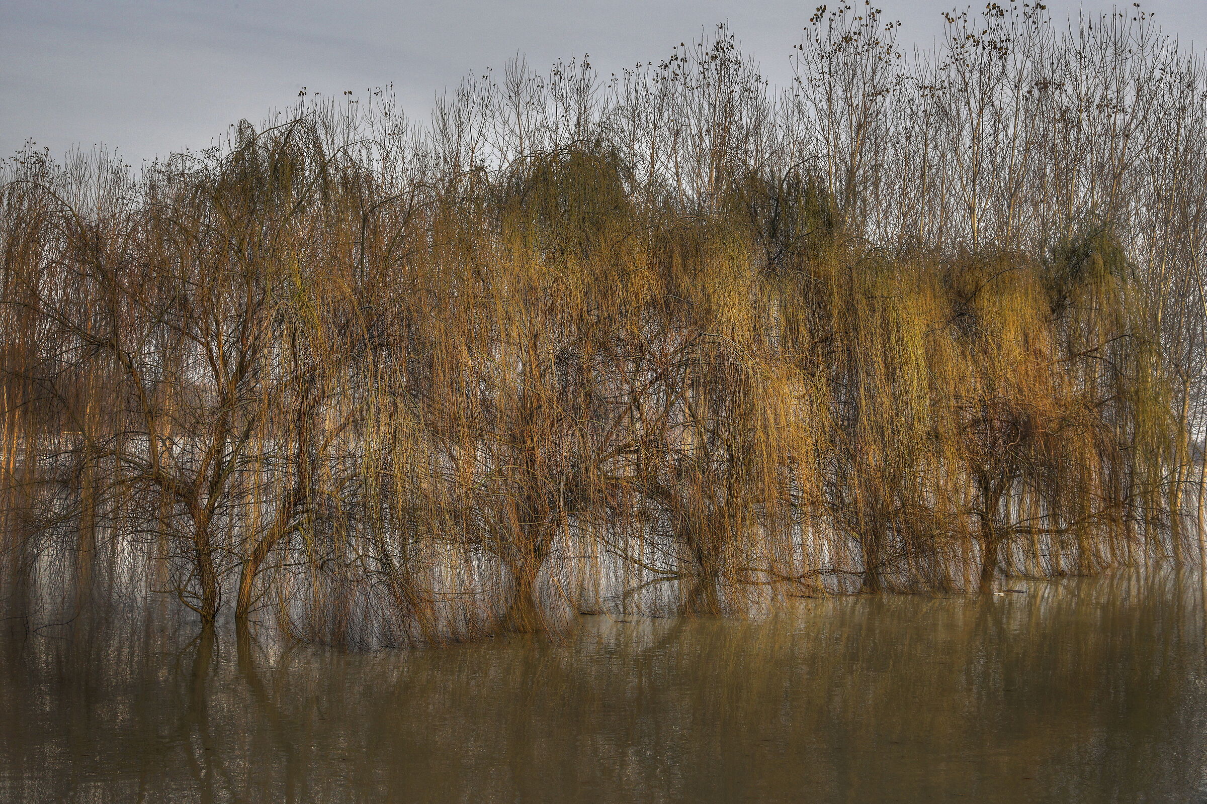 the flooding of the Po