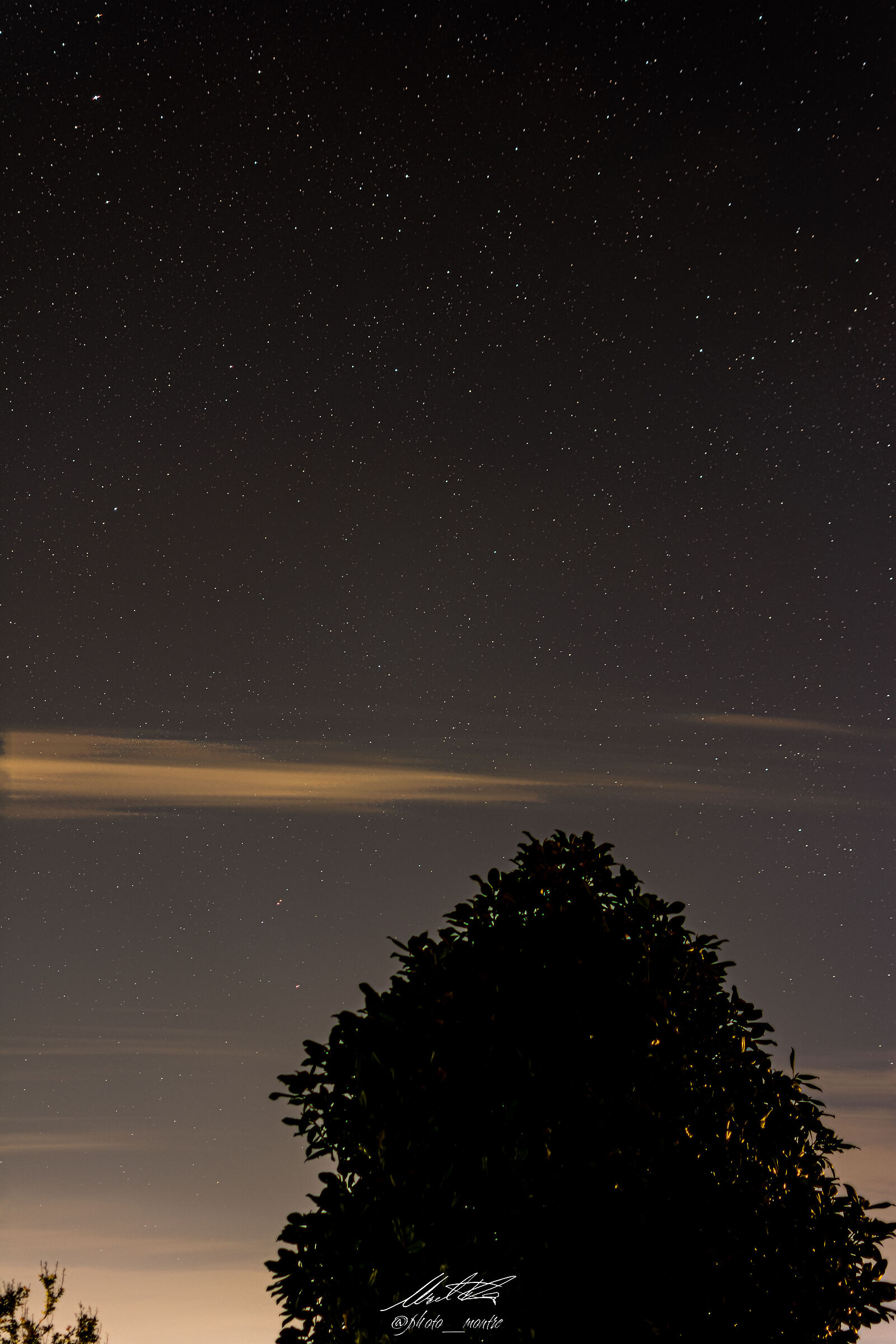 Stellata di mattina presto