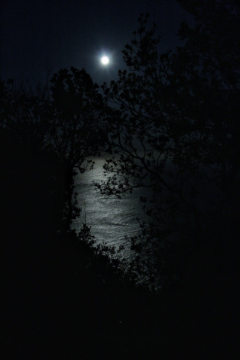 Notte di luna piena al Circeo