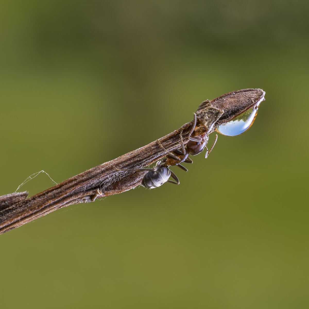 From a different perspective