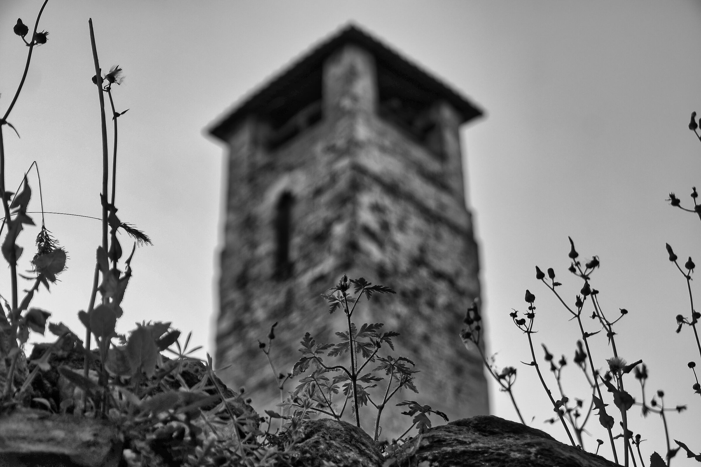 Torre con steli