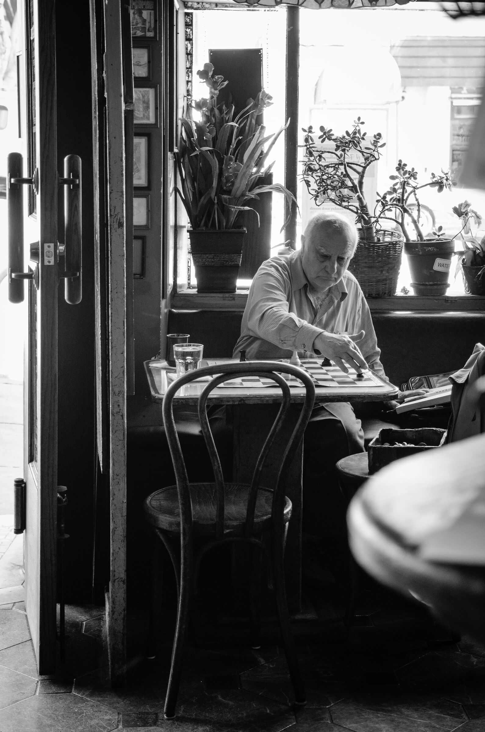 Chess Player in San Francisco