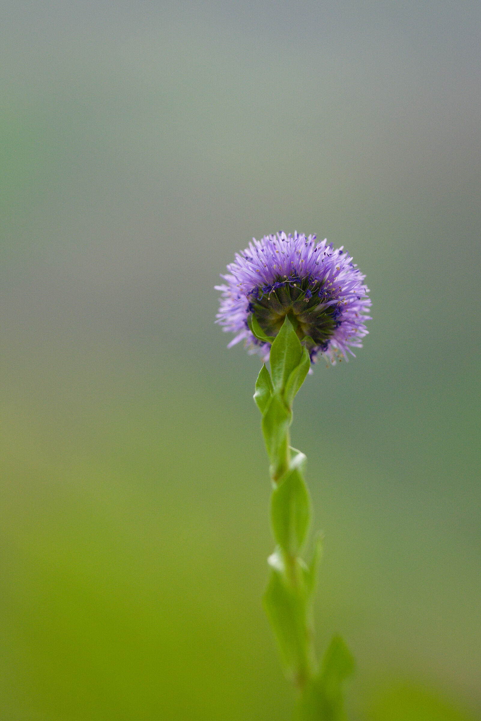 Untitled Photo