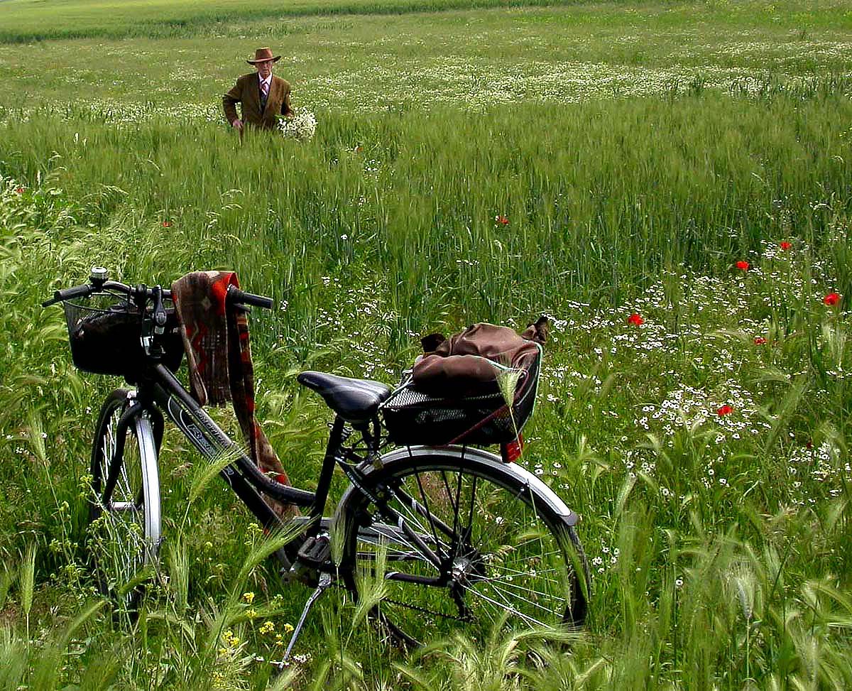 taken in the Roman countryside