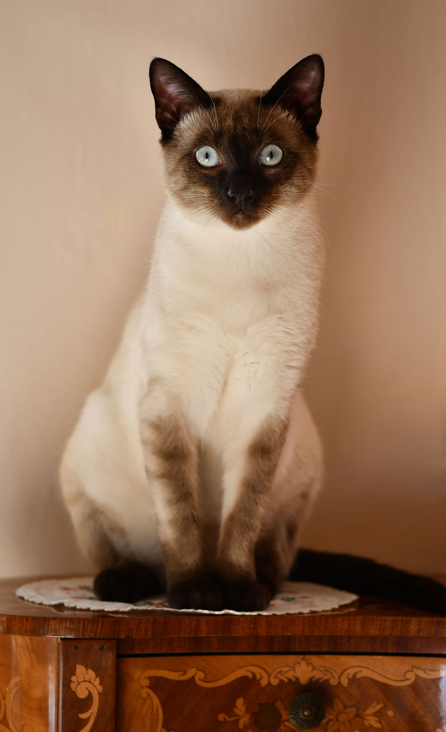 Vado bene messo così?