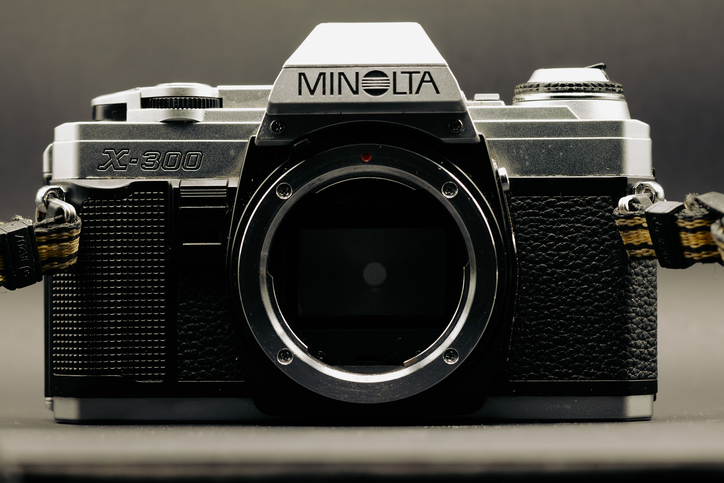 minolta ritratto