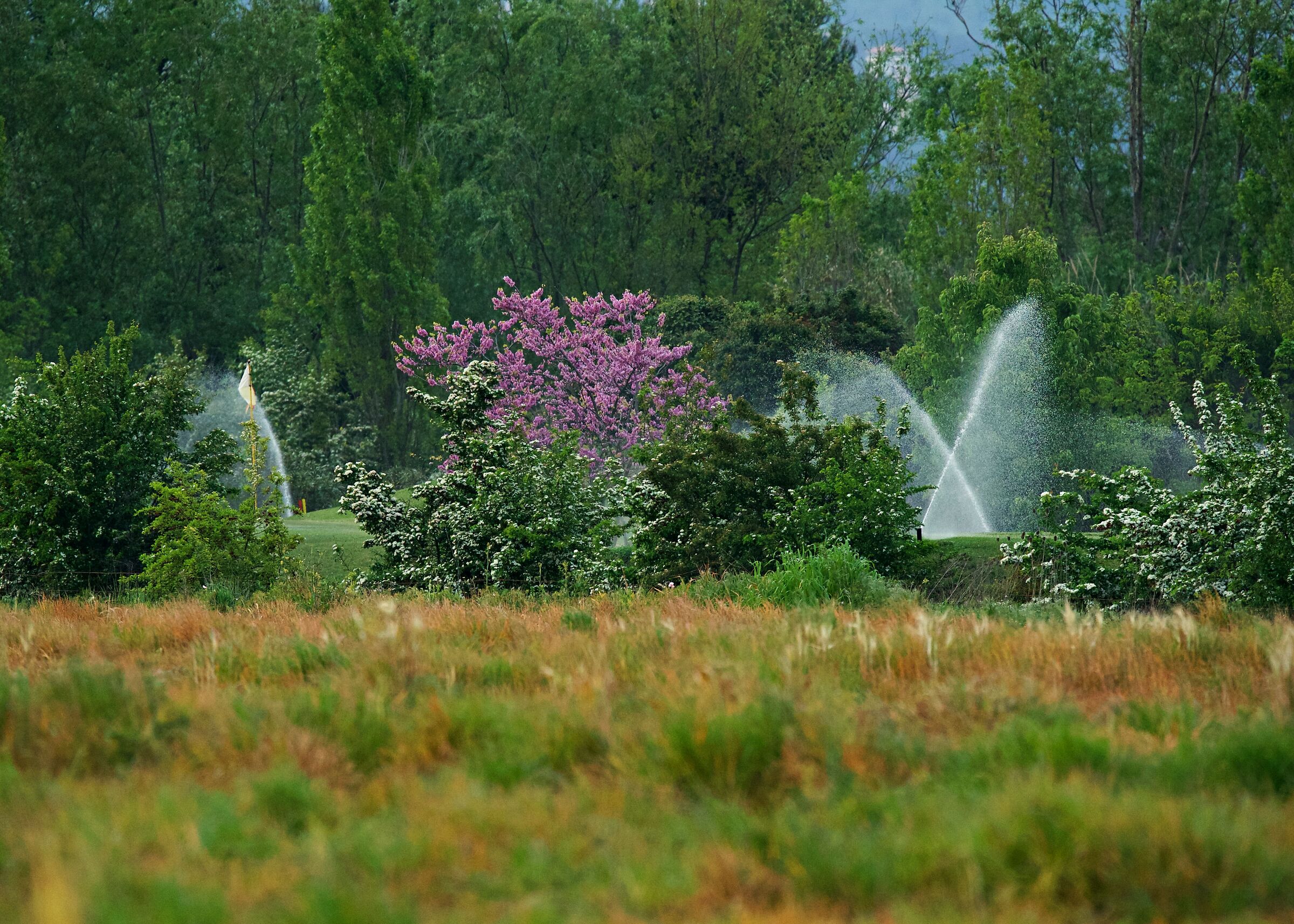 Acqua sorgente di vita