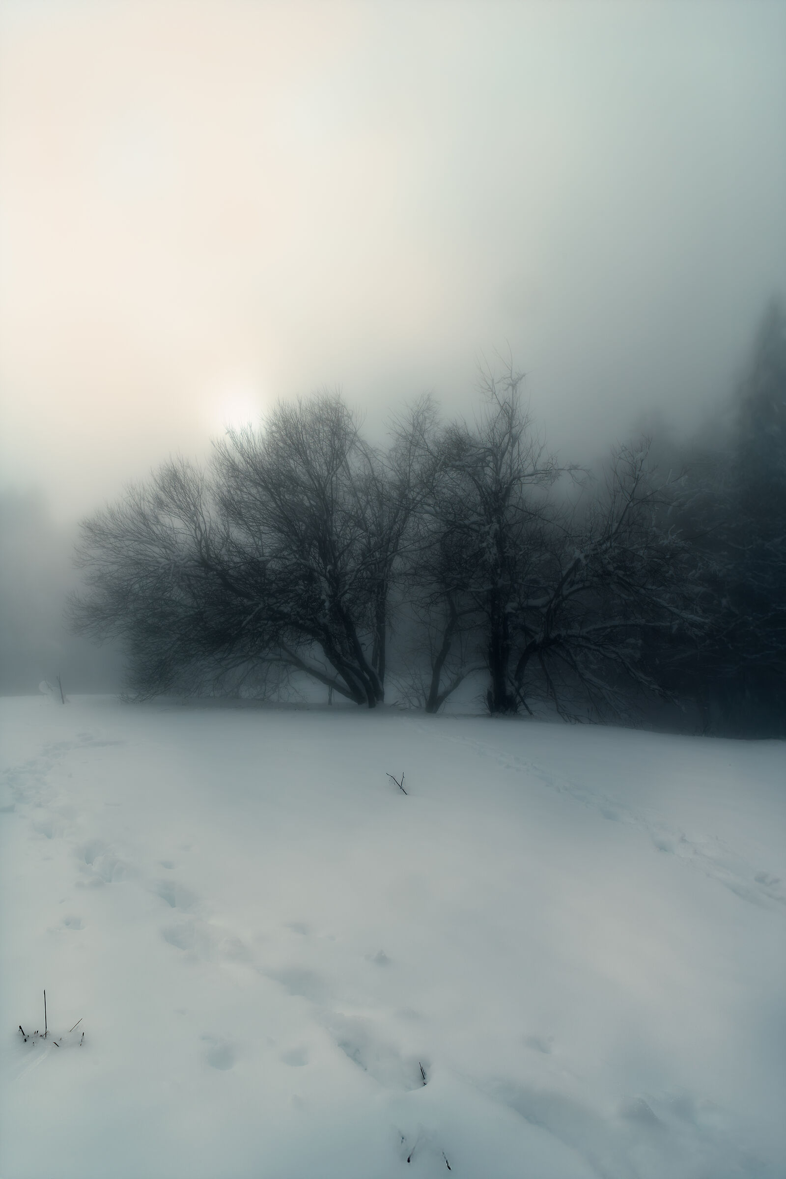 a spasso nella neve