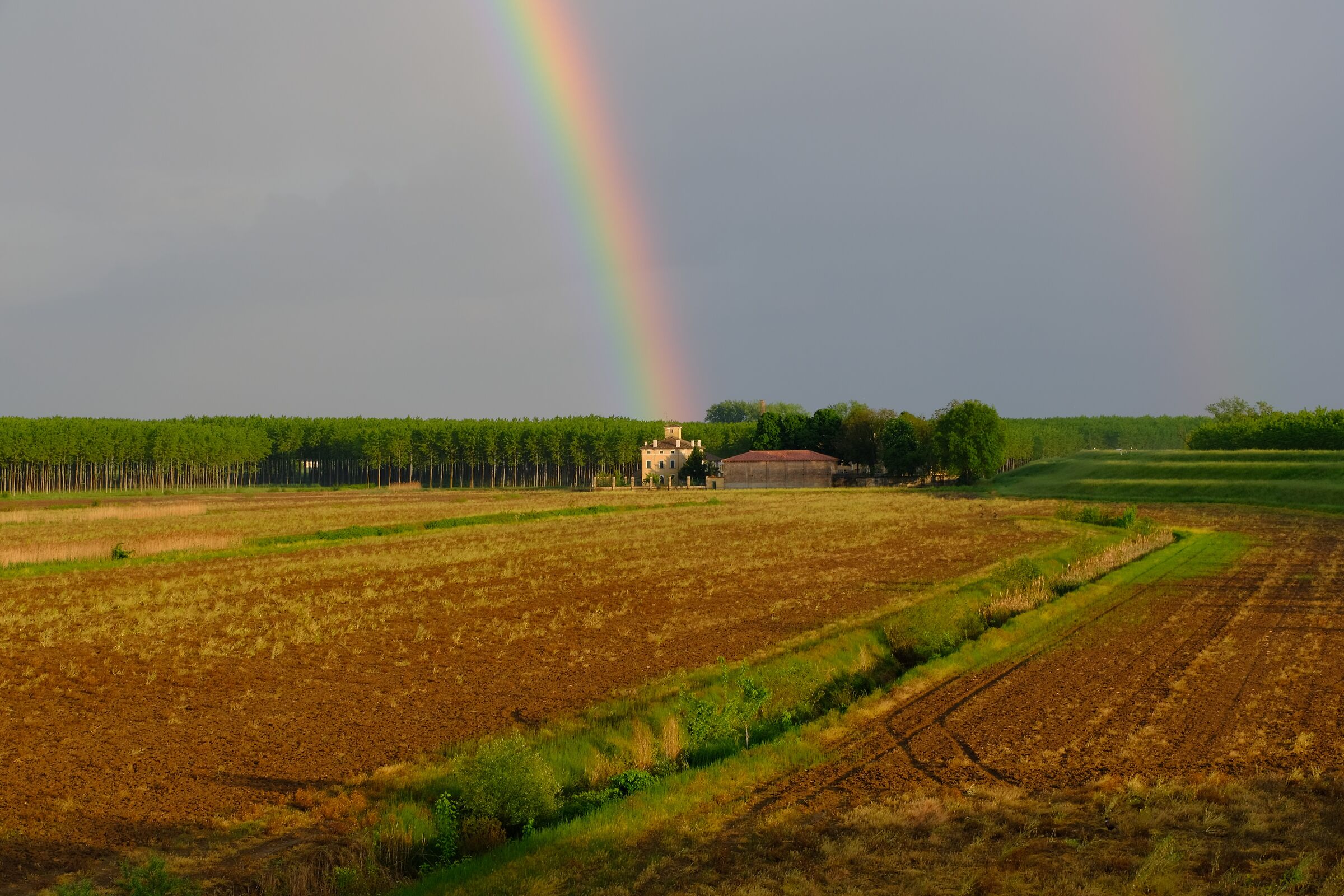 Mantuan countryside.
