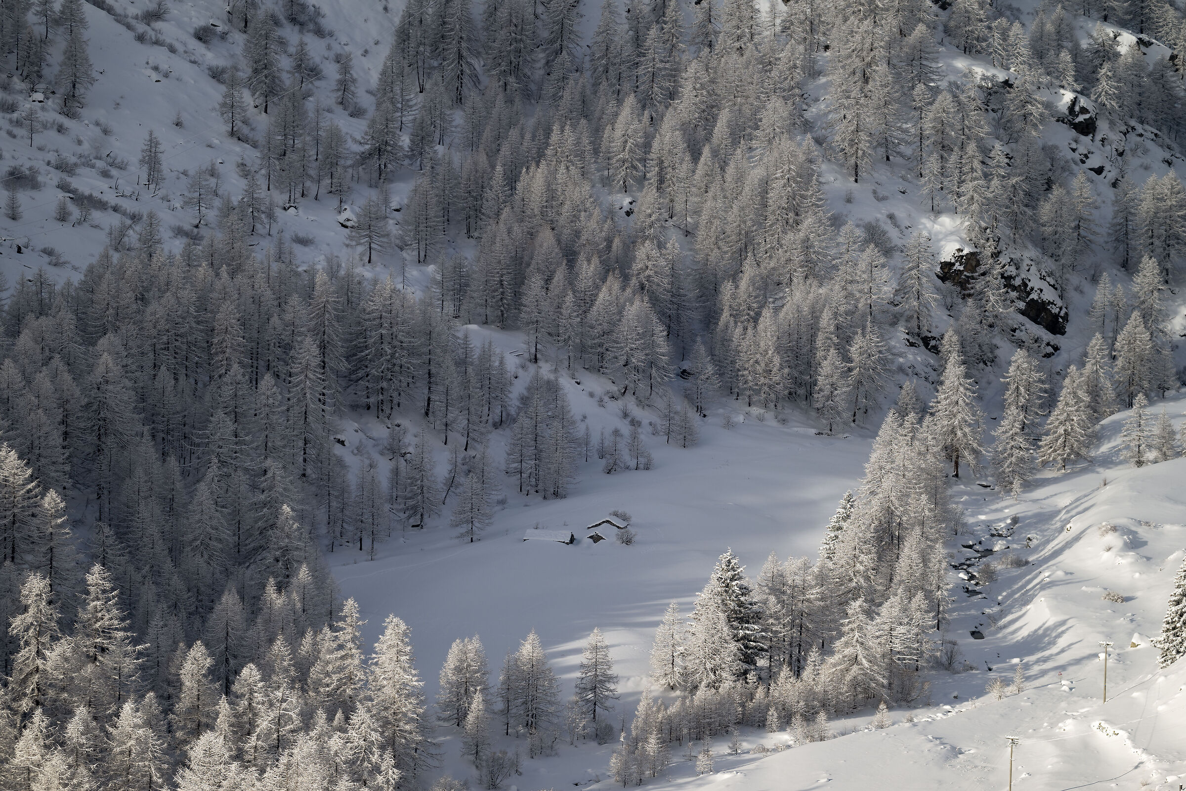Gran Paradiso National Park - Piedmont