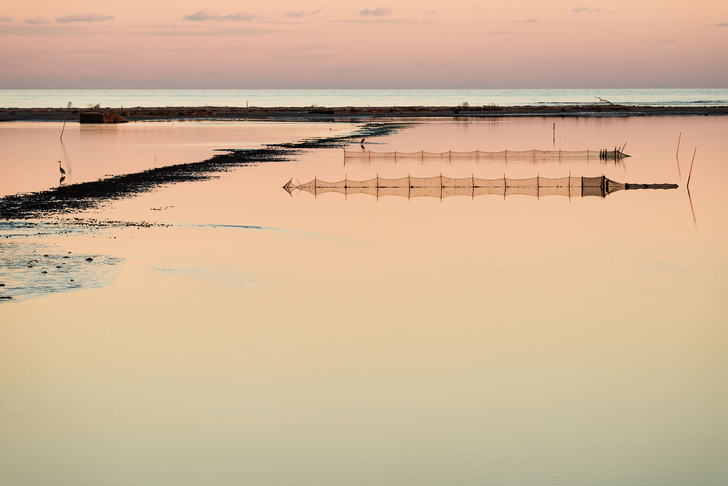 Pink Lagoon
