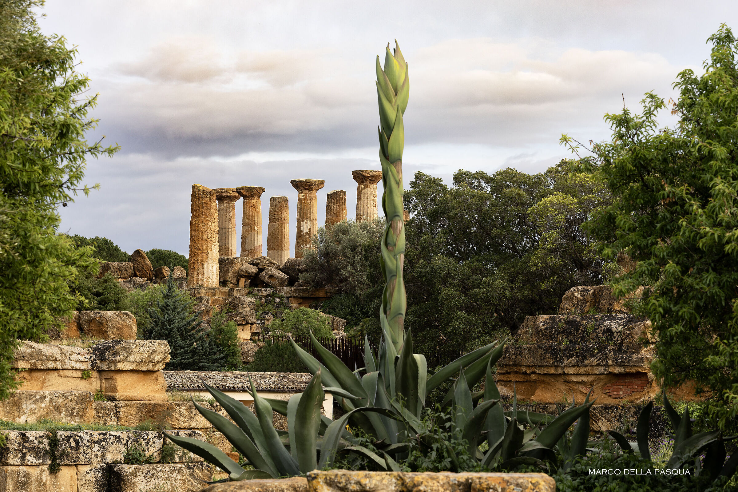 Sicily-Agrigento-Valley of the Temples