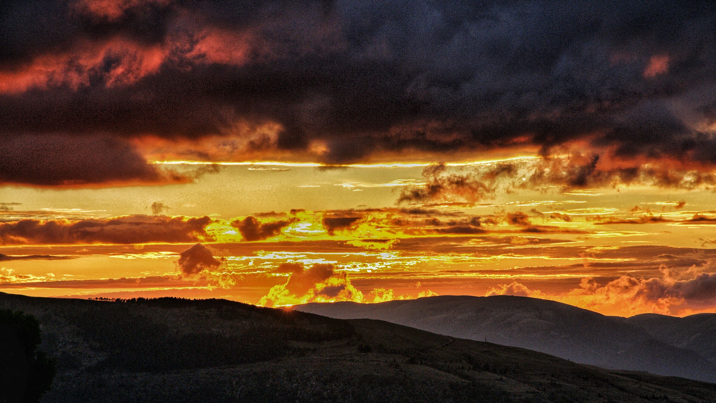 Thank you for the show