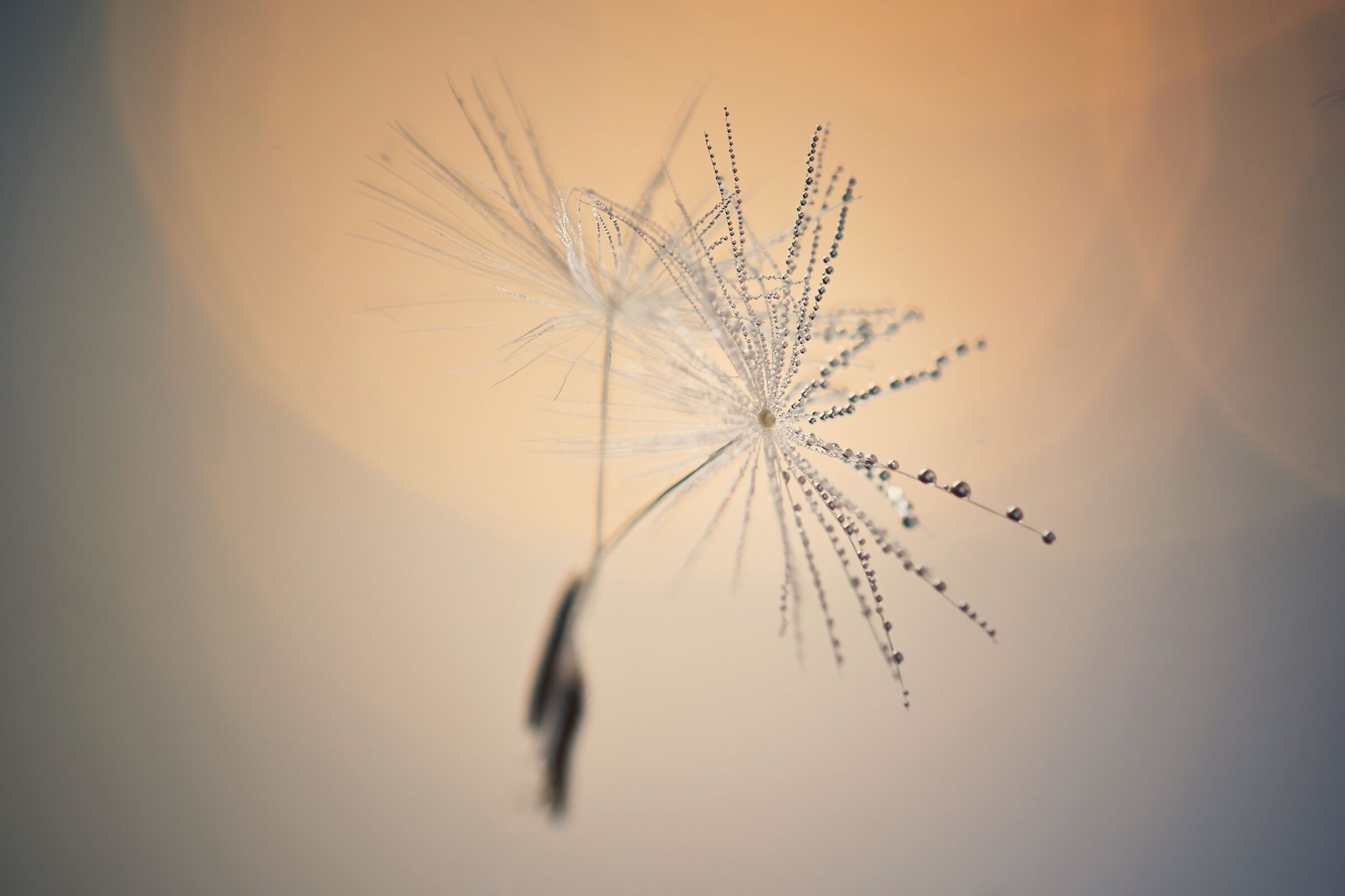 All it takes is a breath