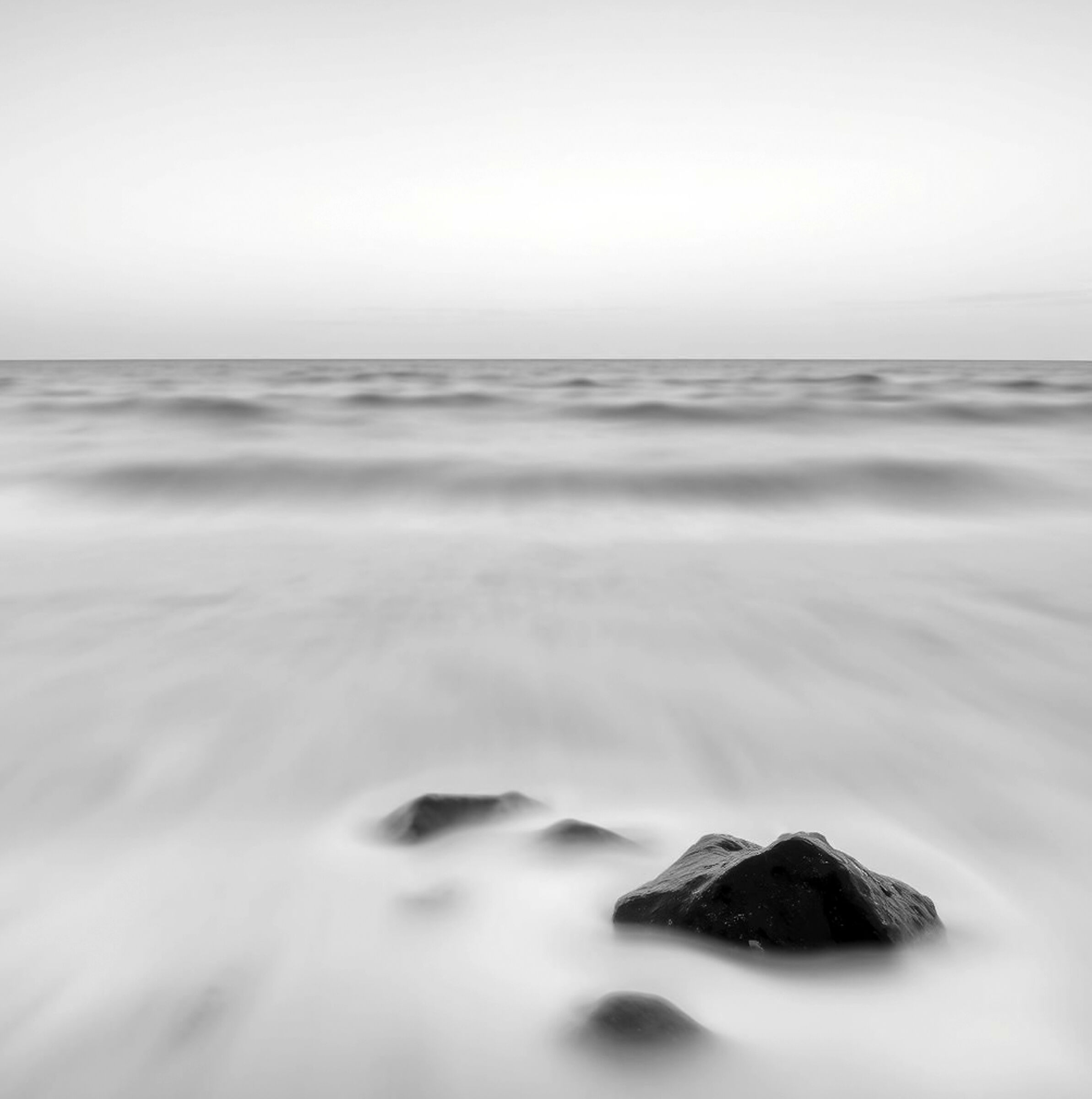 Untitled Photo