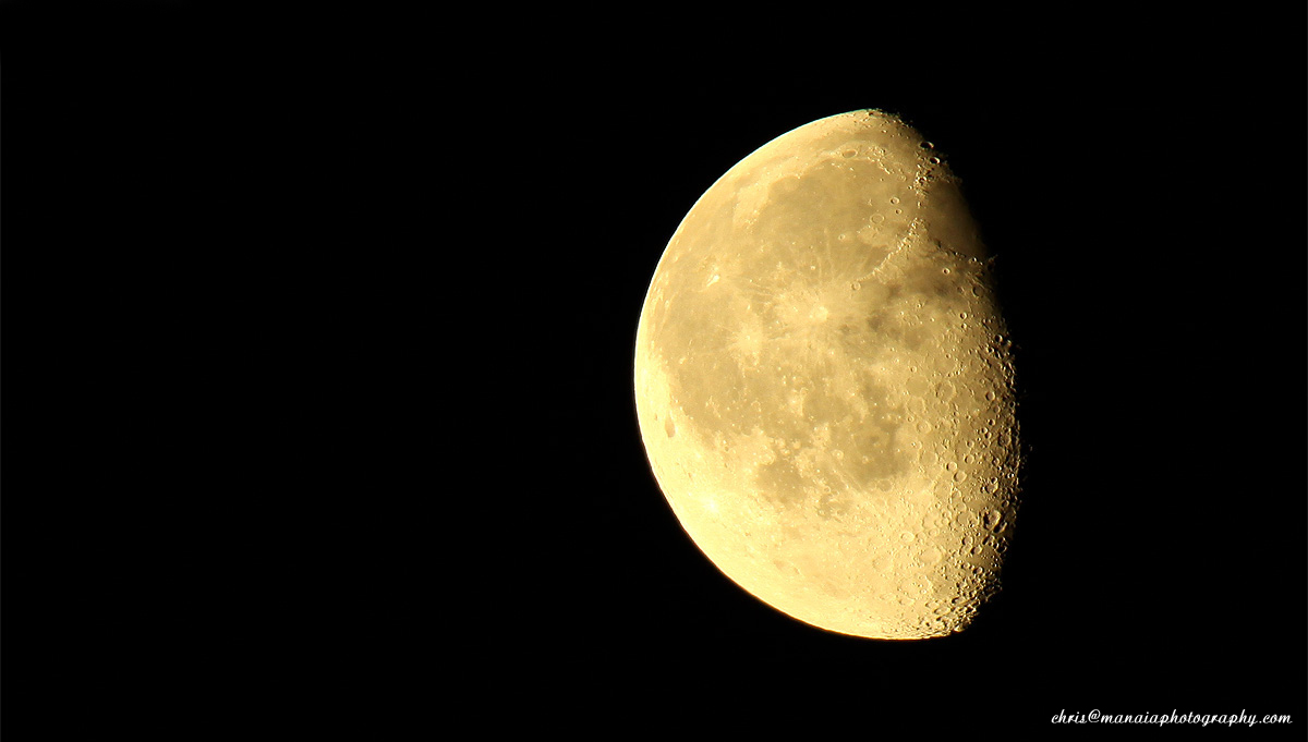 Lunar 2010