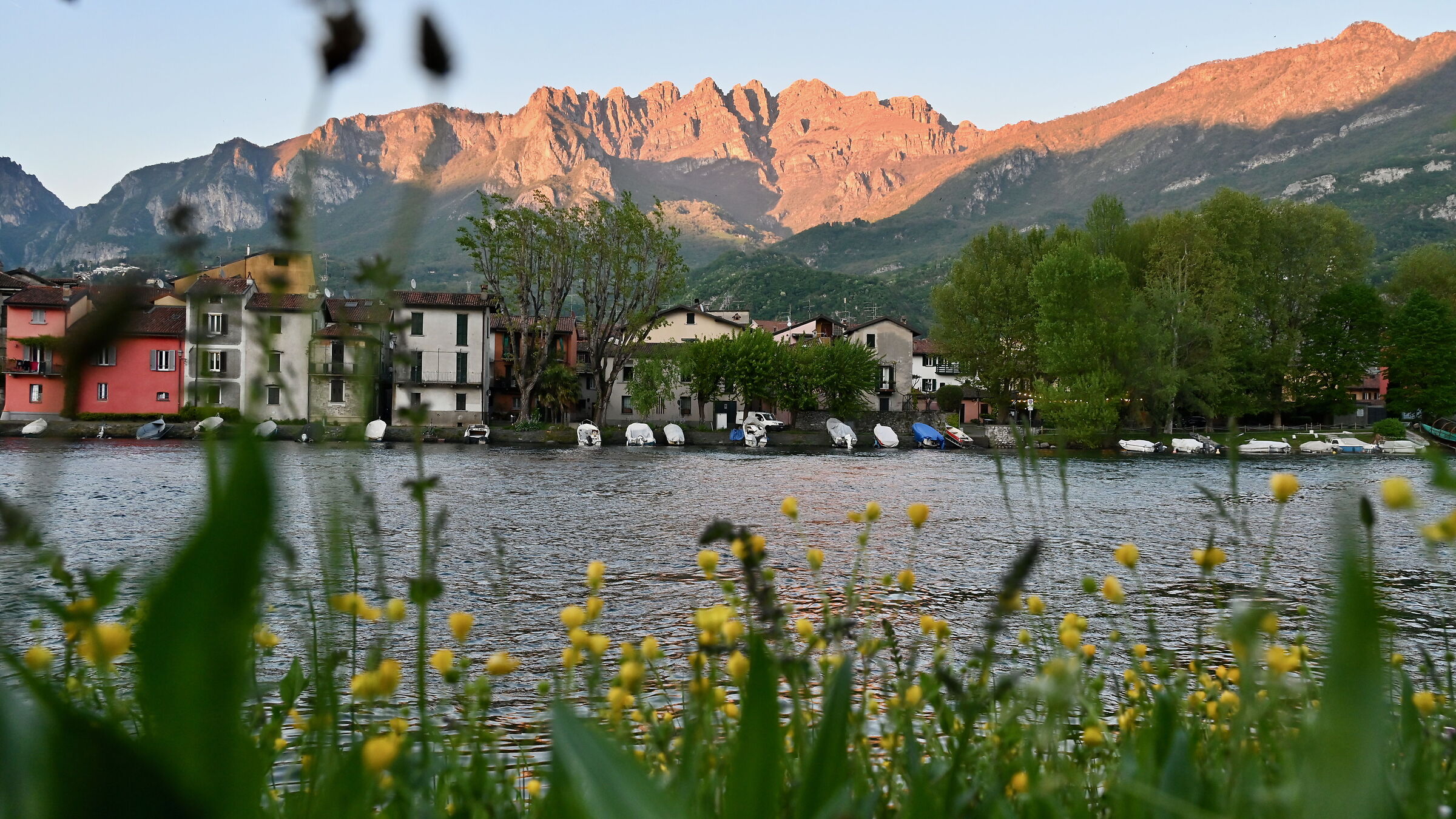 Pescarenico in spring 10