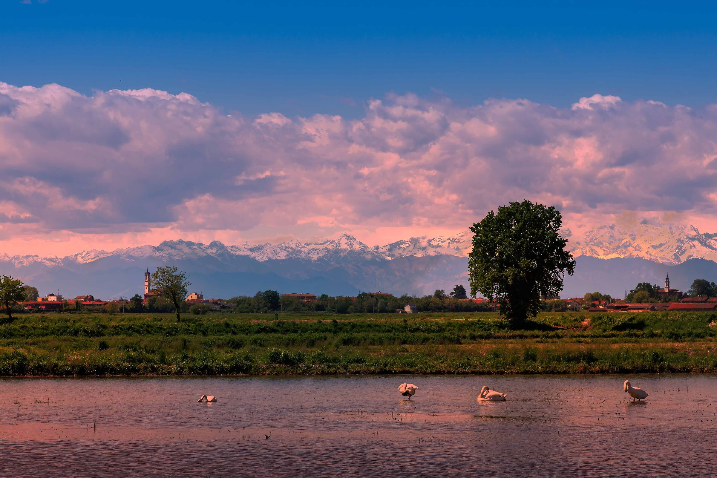 Gruppo di famiglia in un esterno