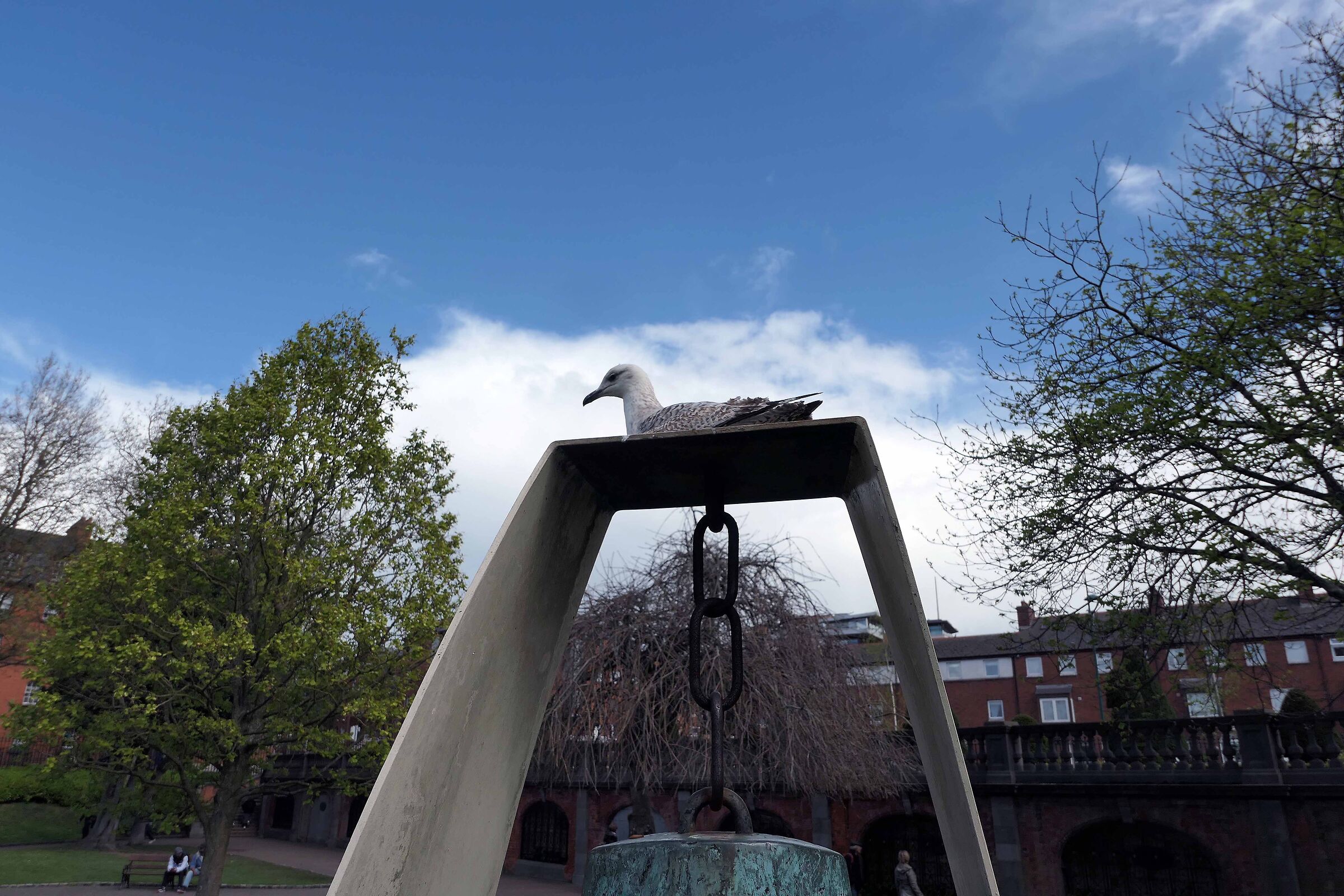 St. Patrick's Park Dublin