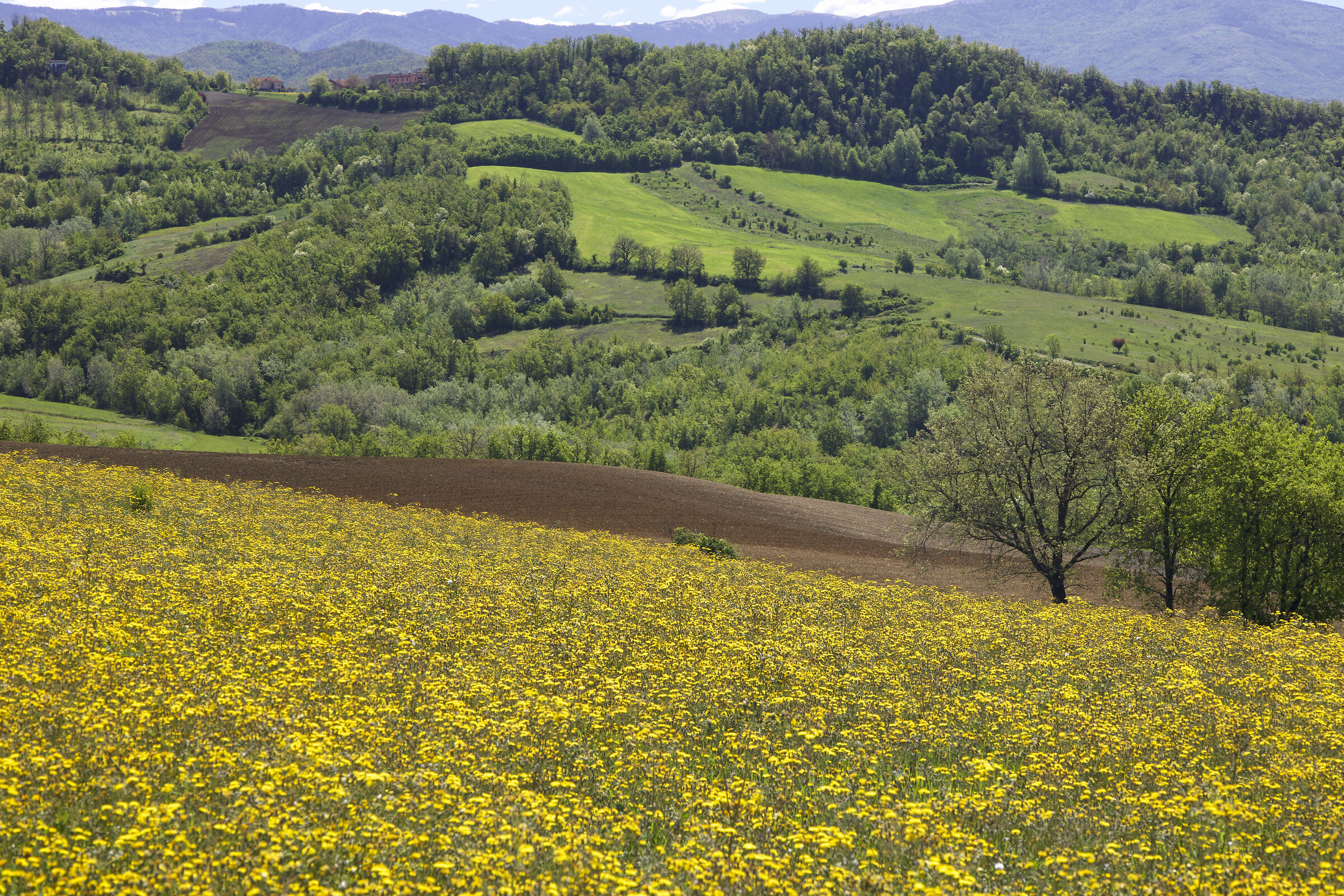 Aprile 2025 Oltrepò