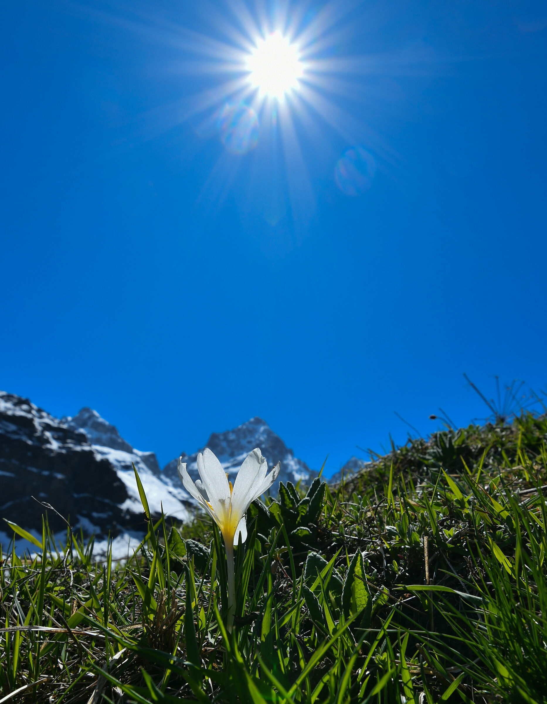 Il sole bacia i belli...