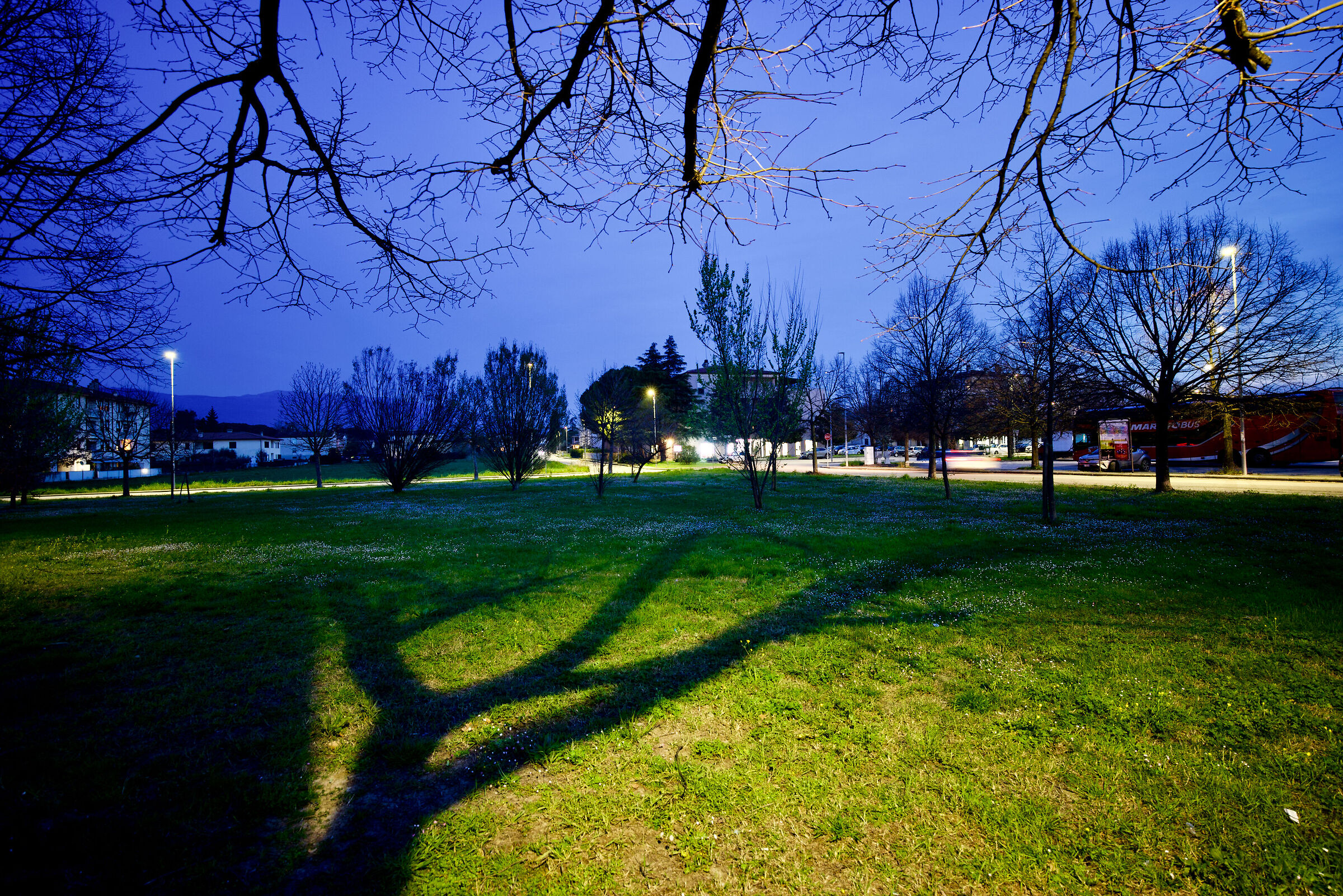 the tentacles on the city