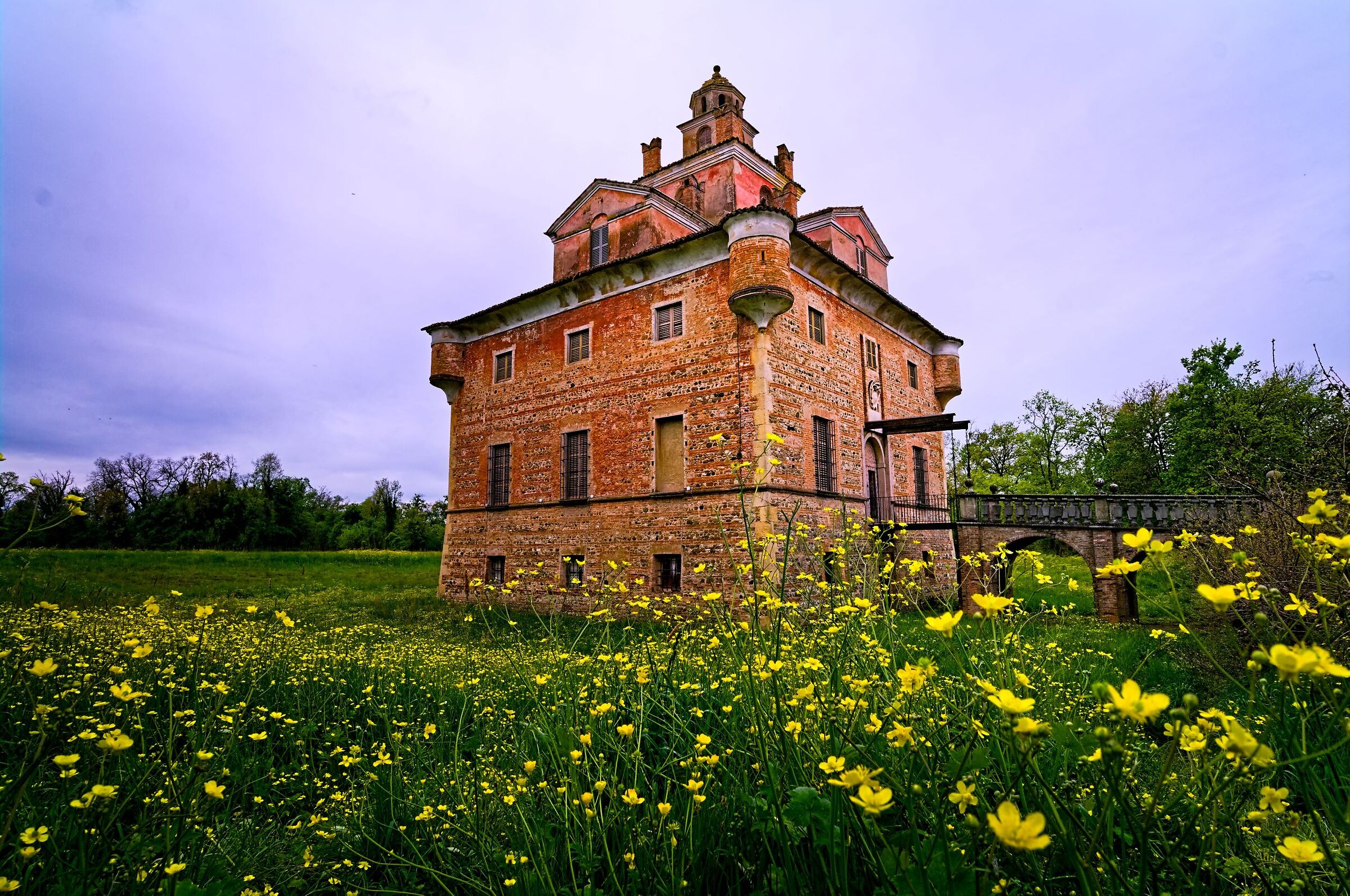 Flowers, spring, Rocca di San Giorgio