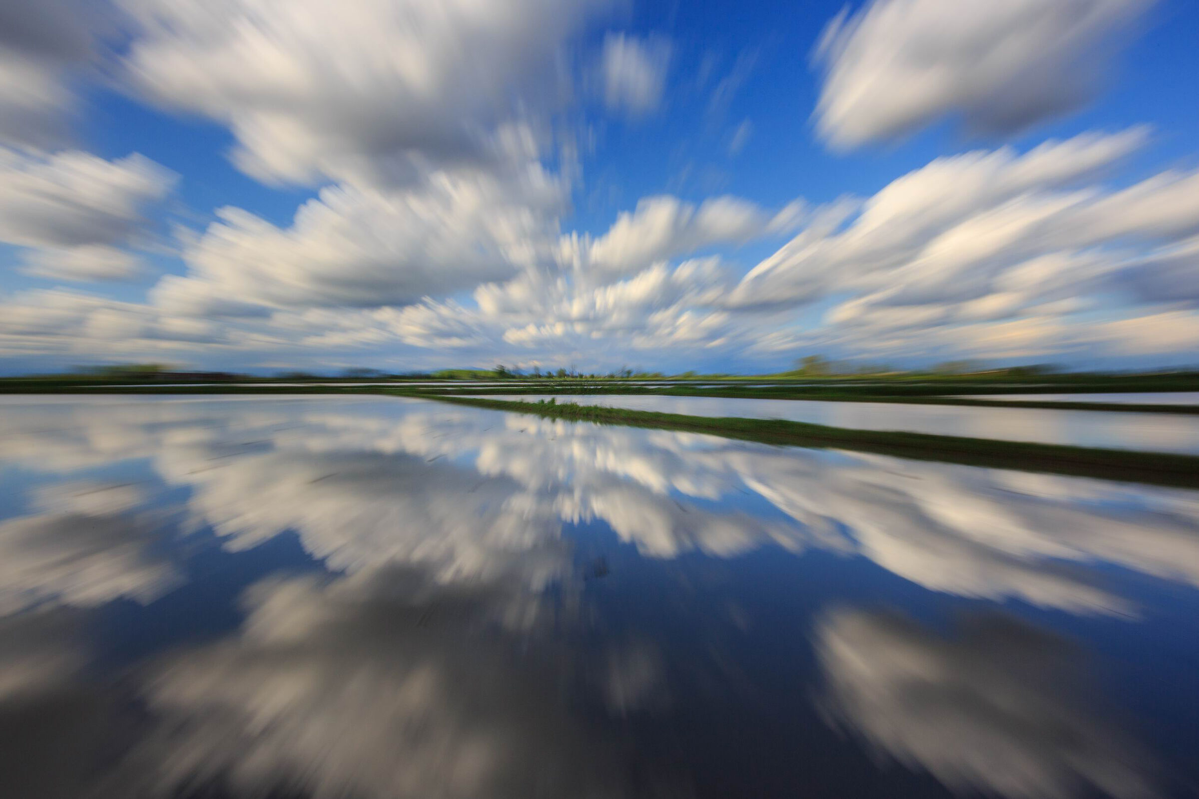 Specchio nelle risaie-Zoomata