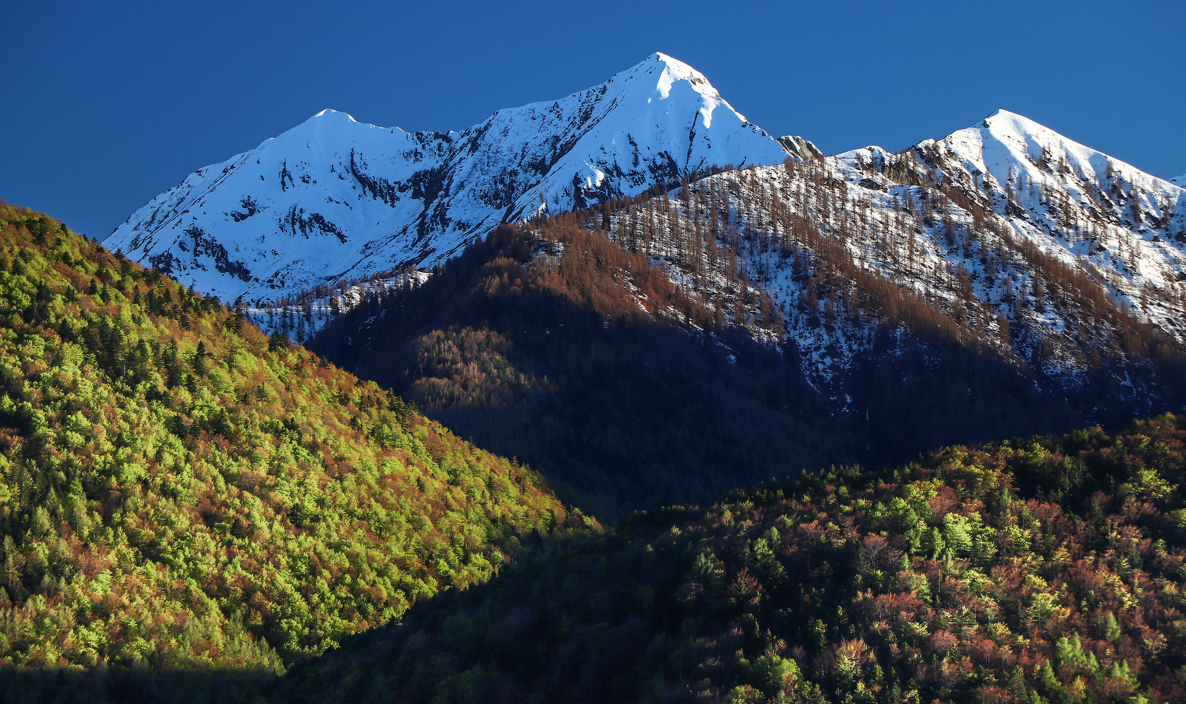 "the sun god is born anew"