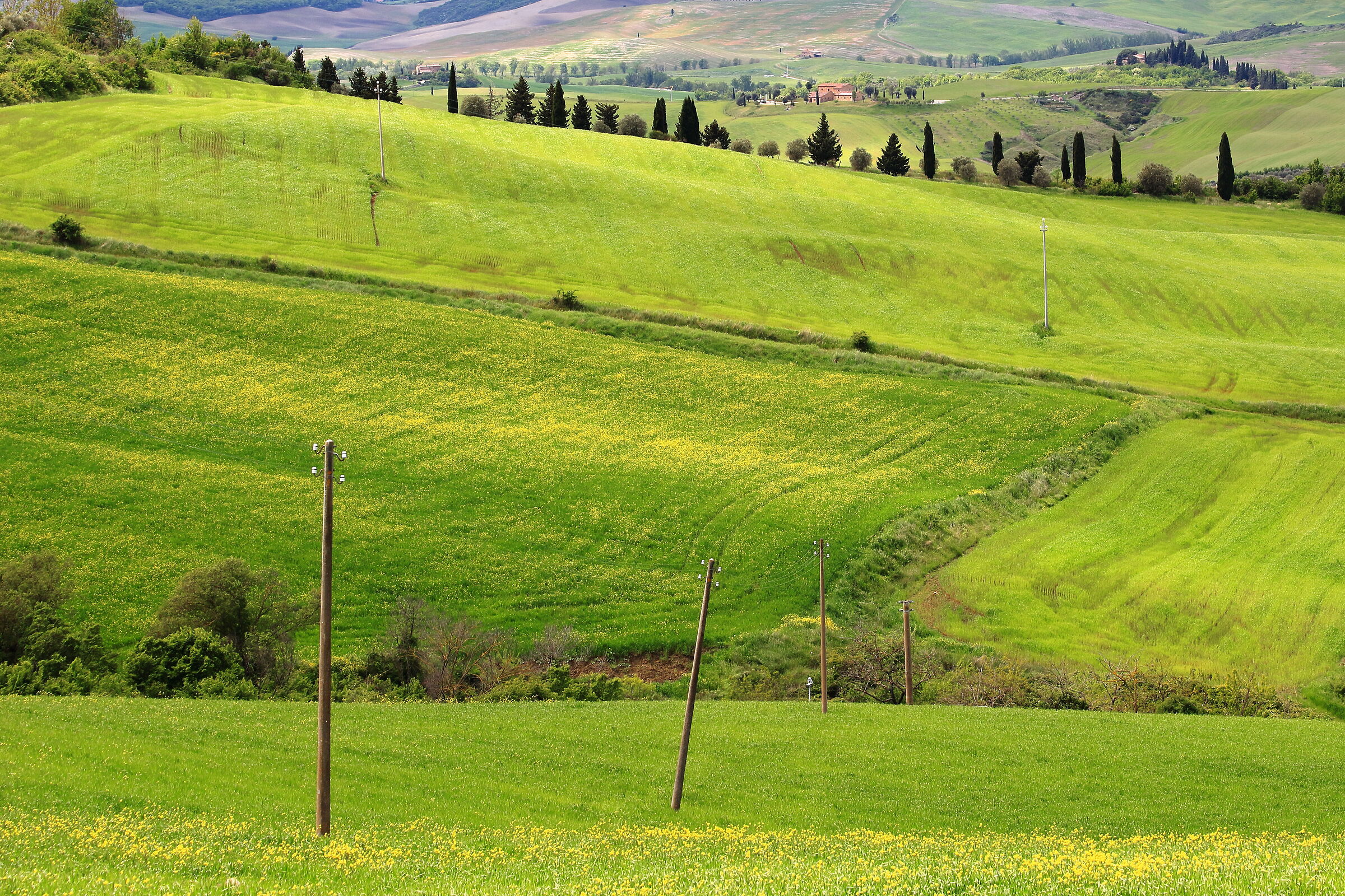 Le onde della Val D'Orcia