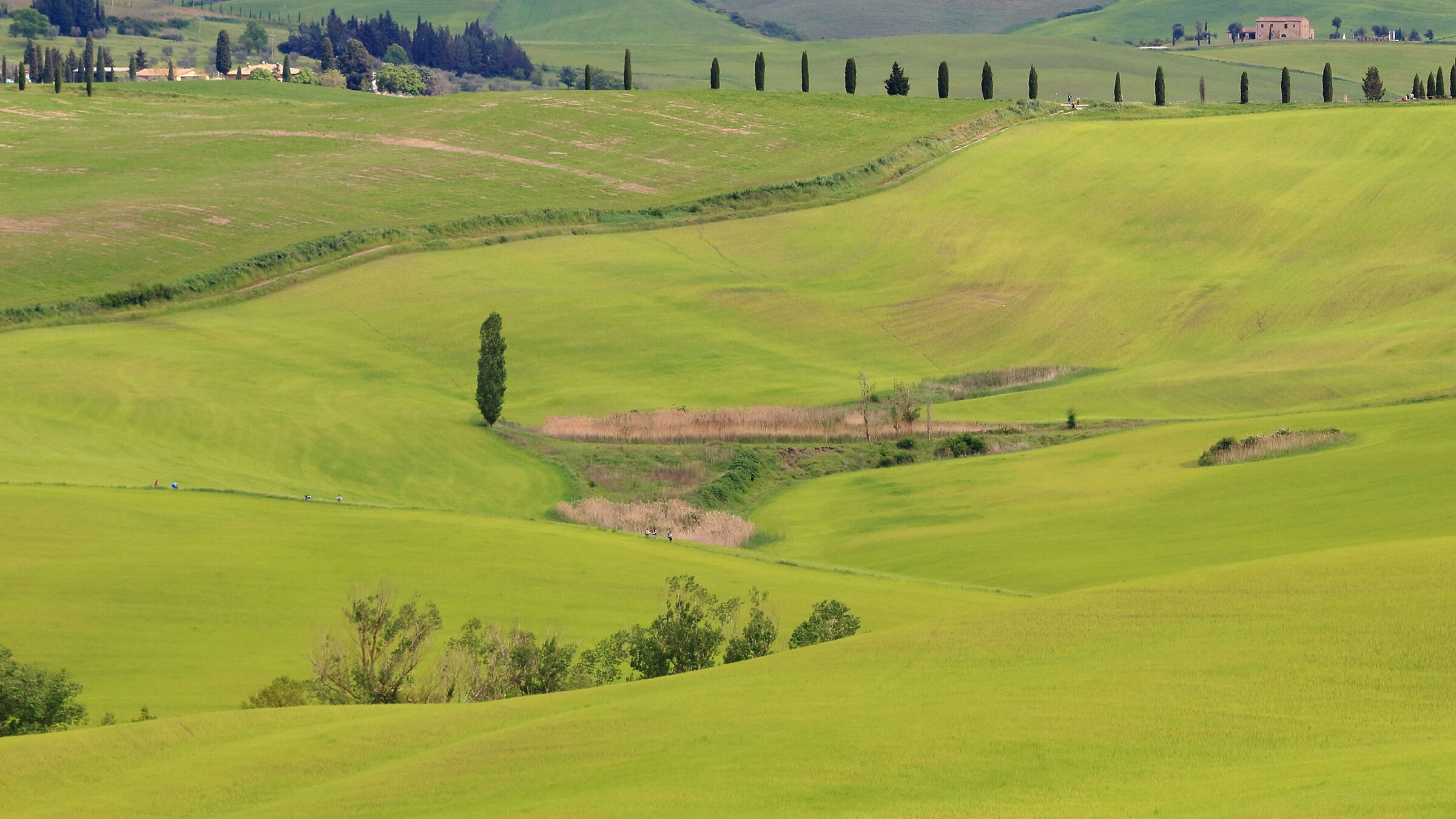 L'osservato