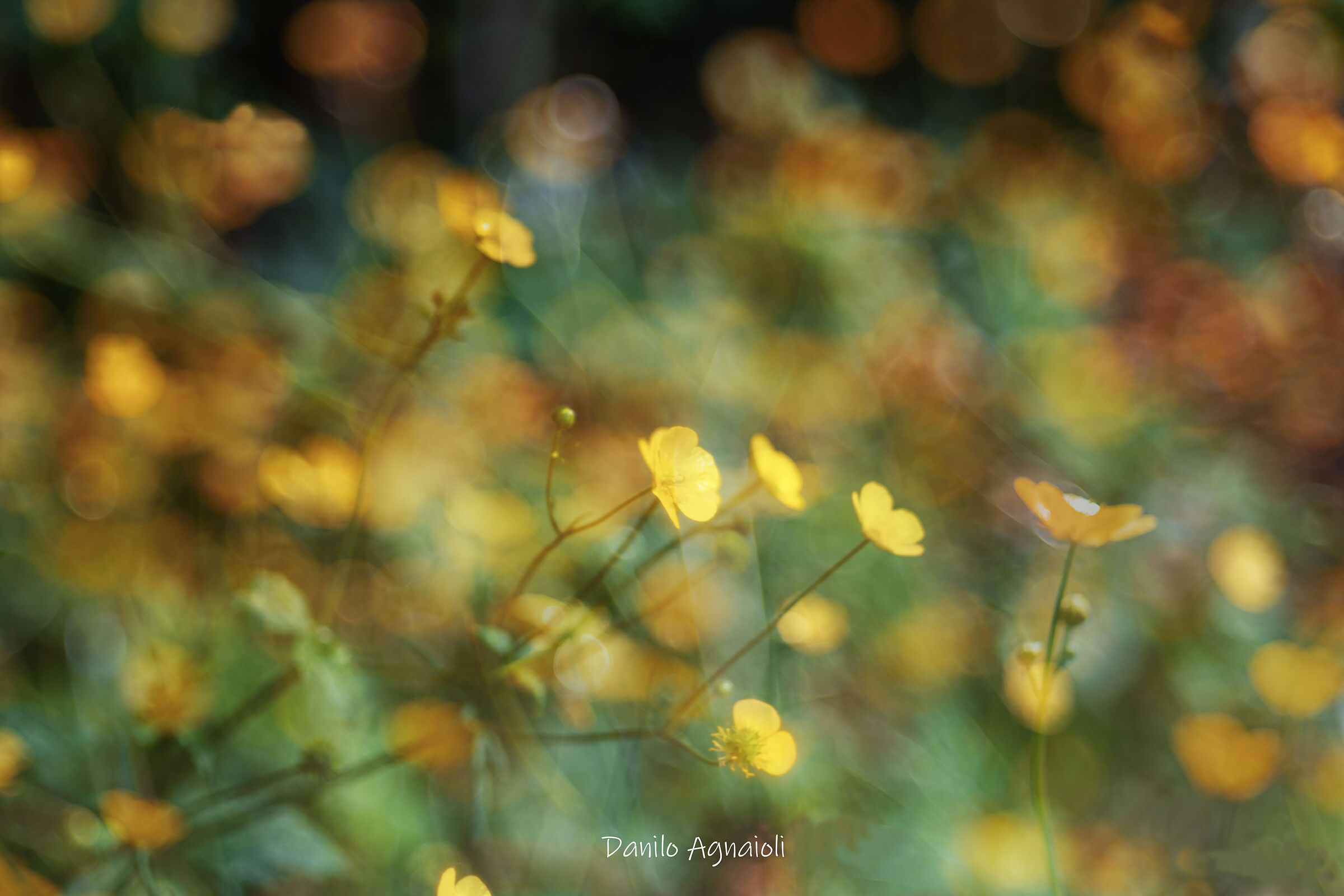 Blurry memories