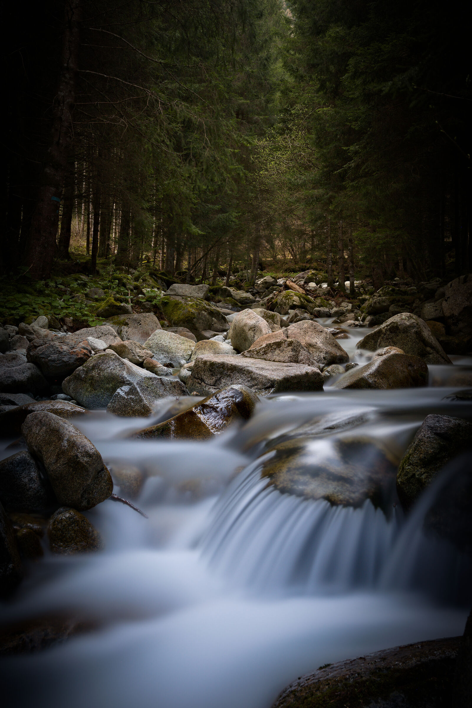 The enchantment of water