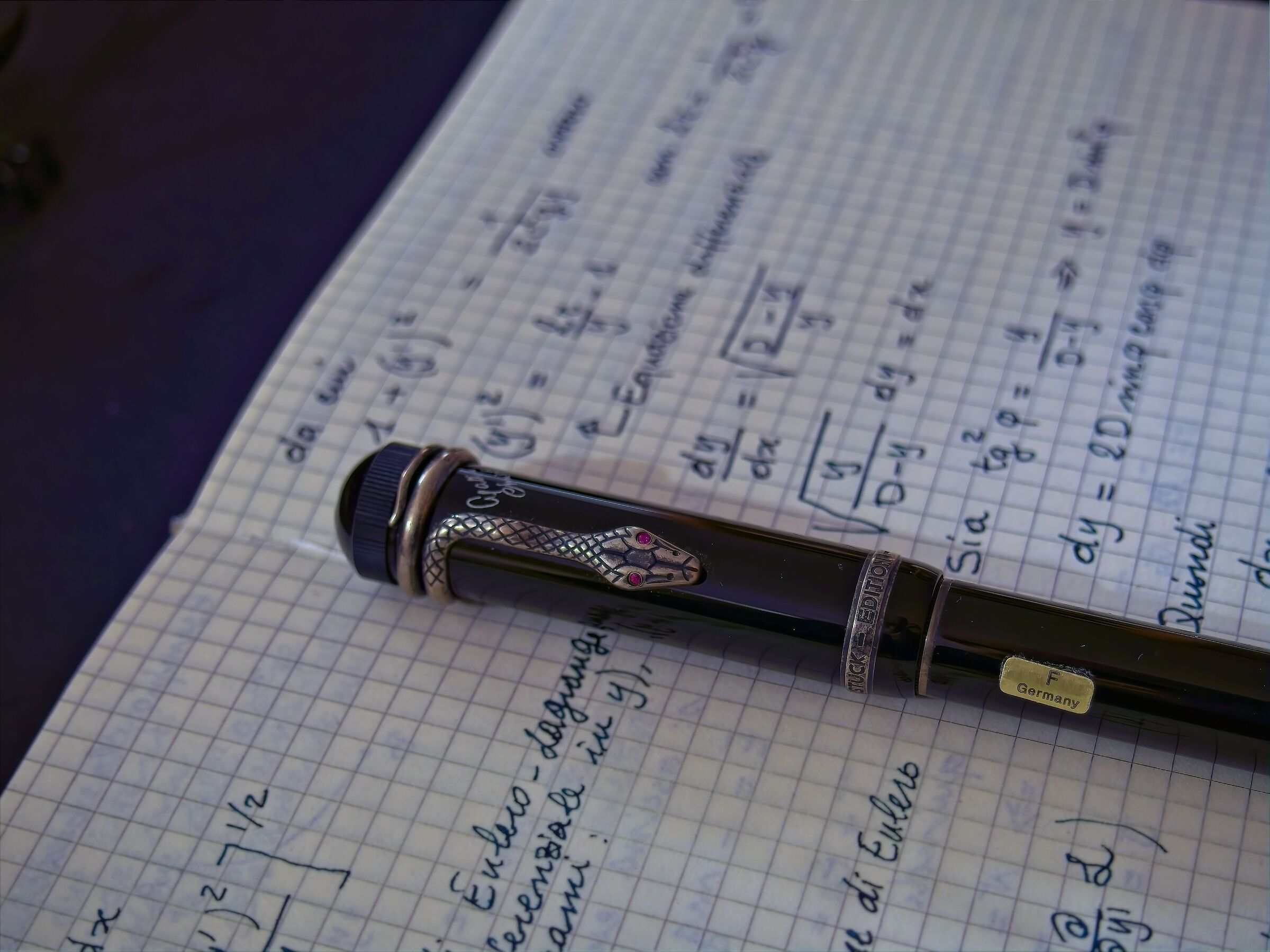 The snake on the pen