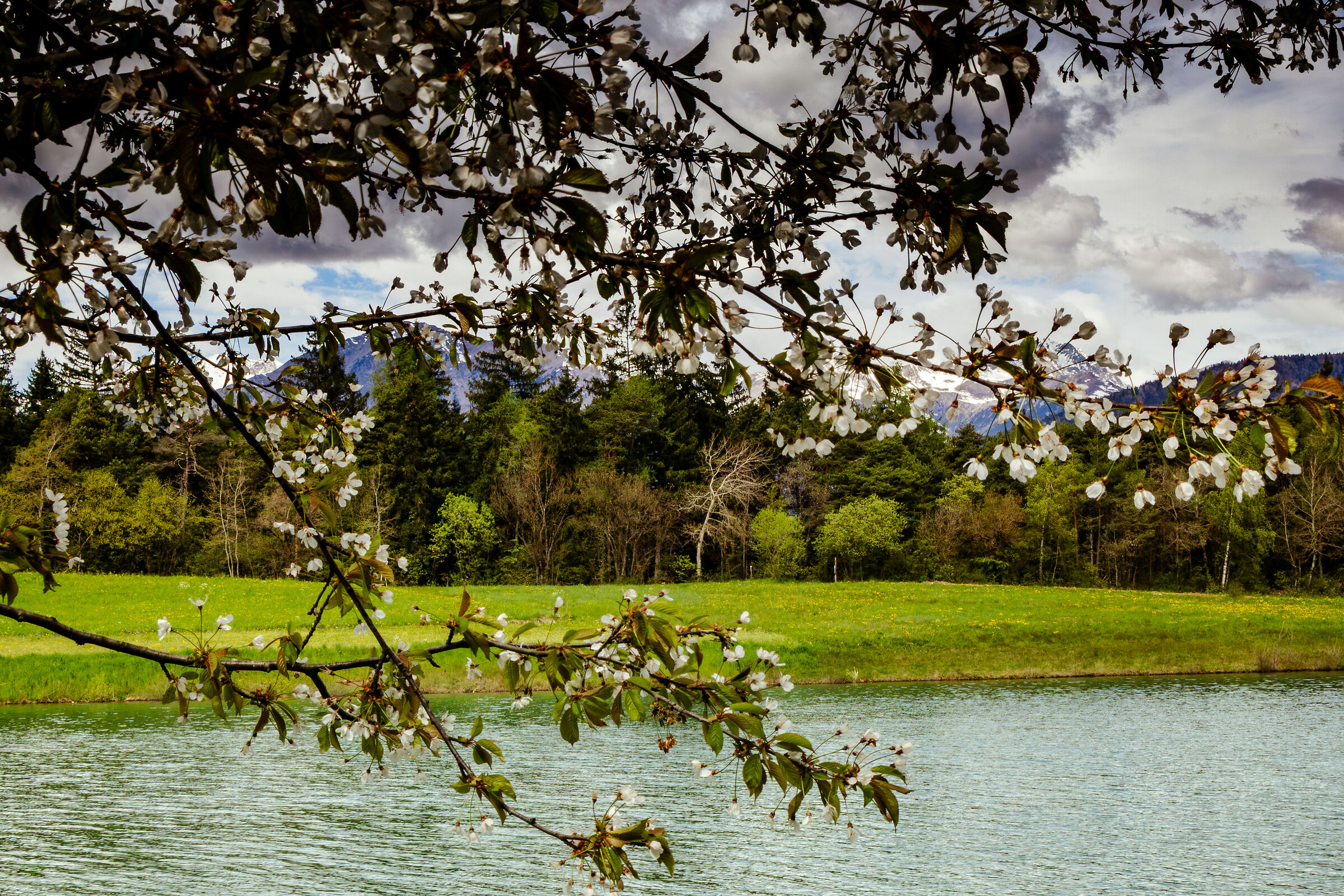 Loc. Due Laghi - Coredo - TN