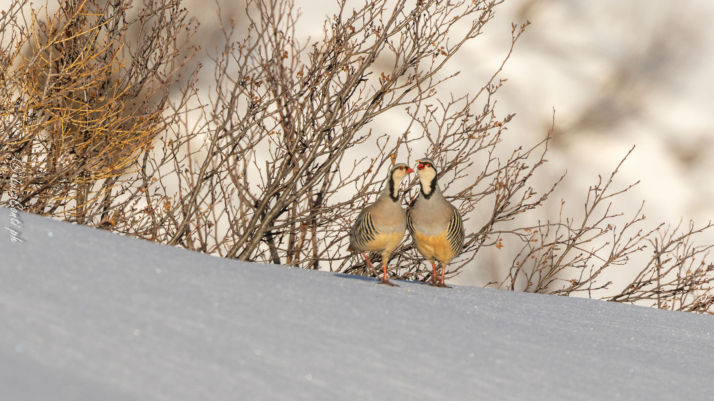 A day that started badly but ended very well