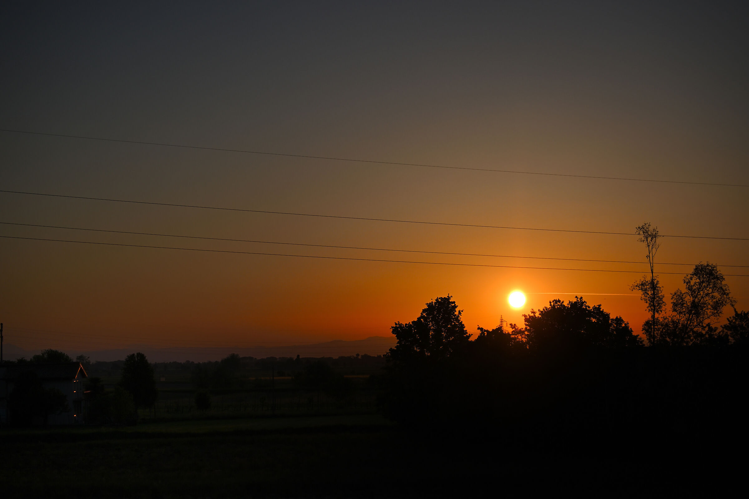Untitled Photo