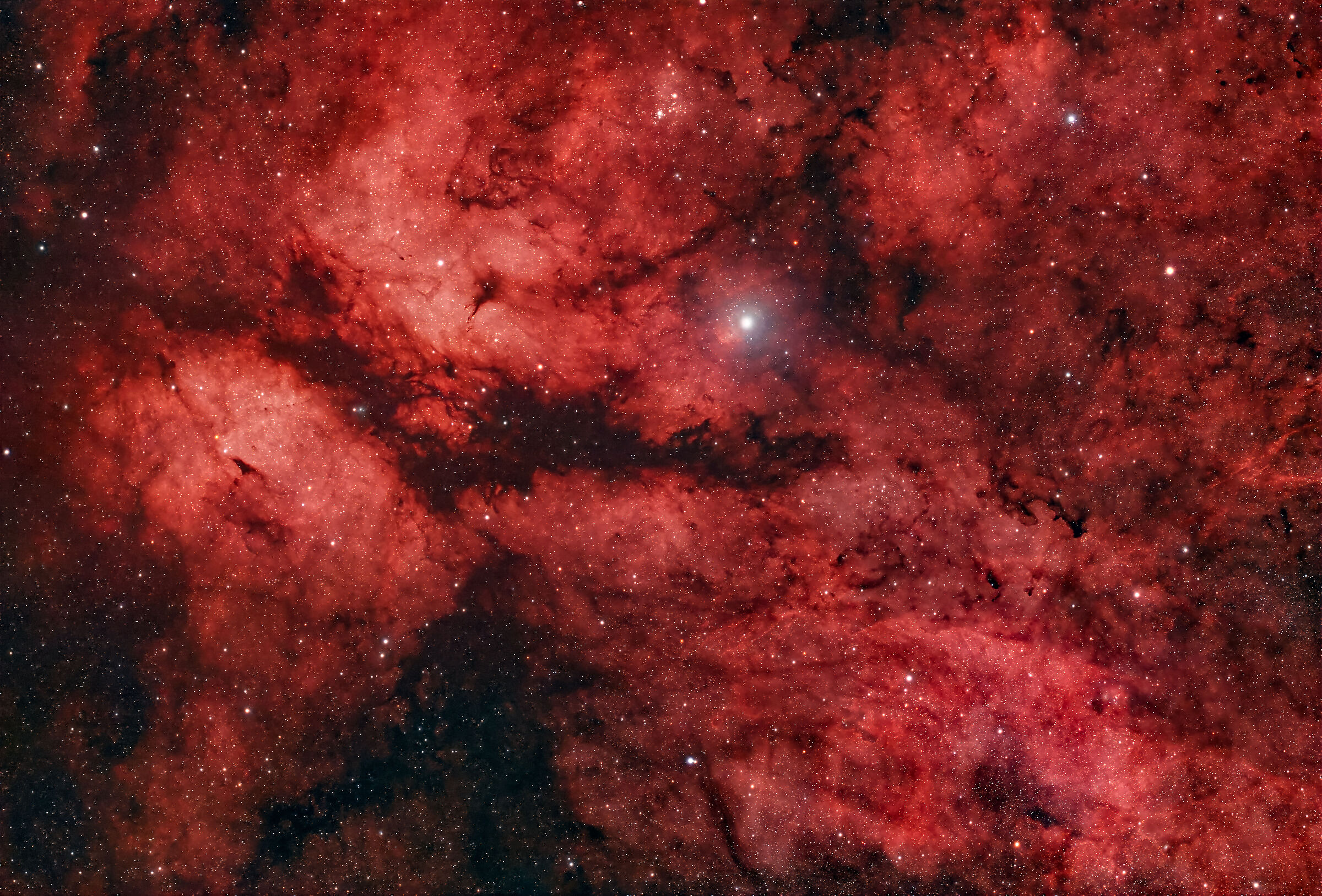 Nebular region IC1318