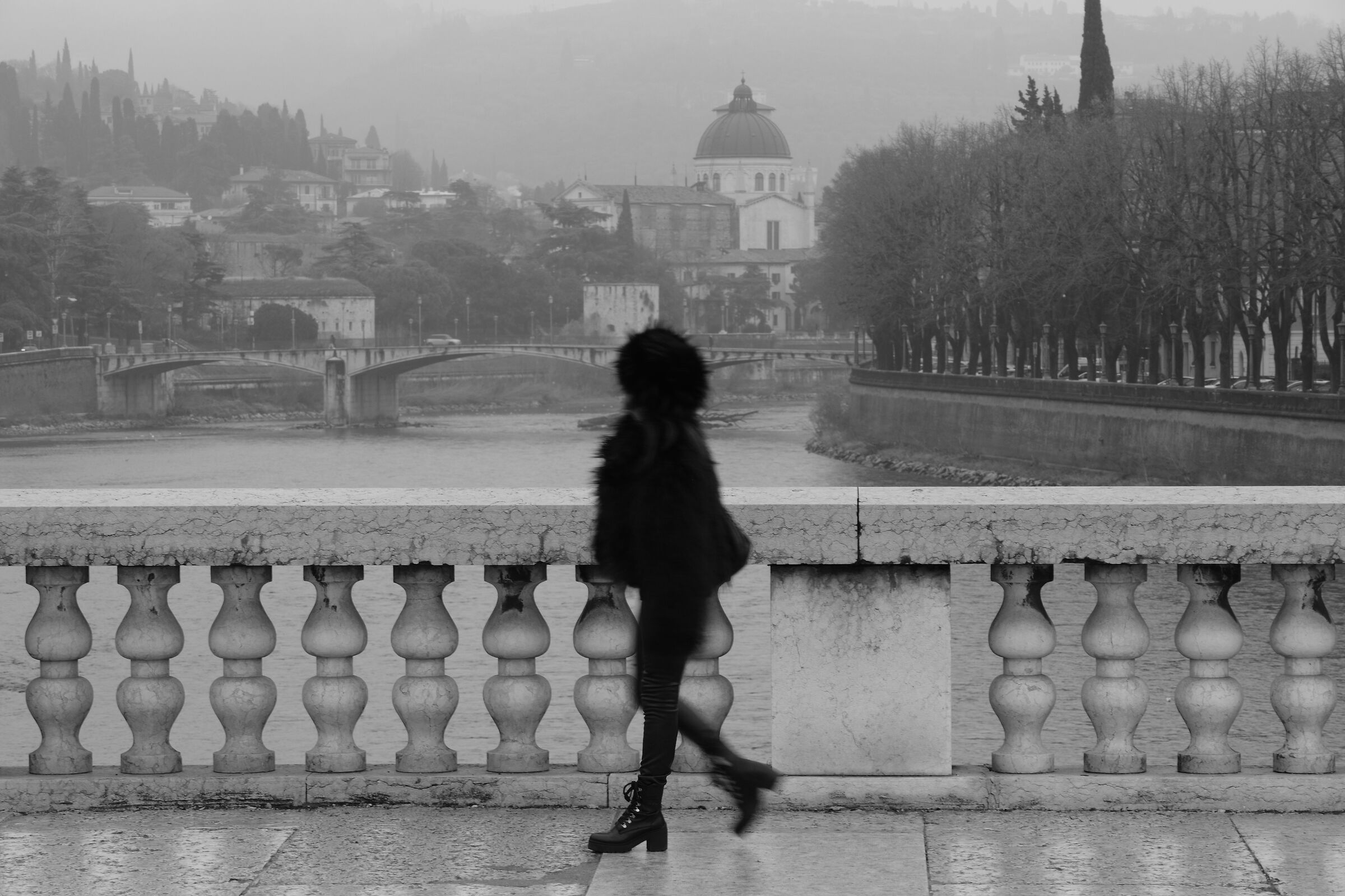 Verona.