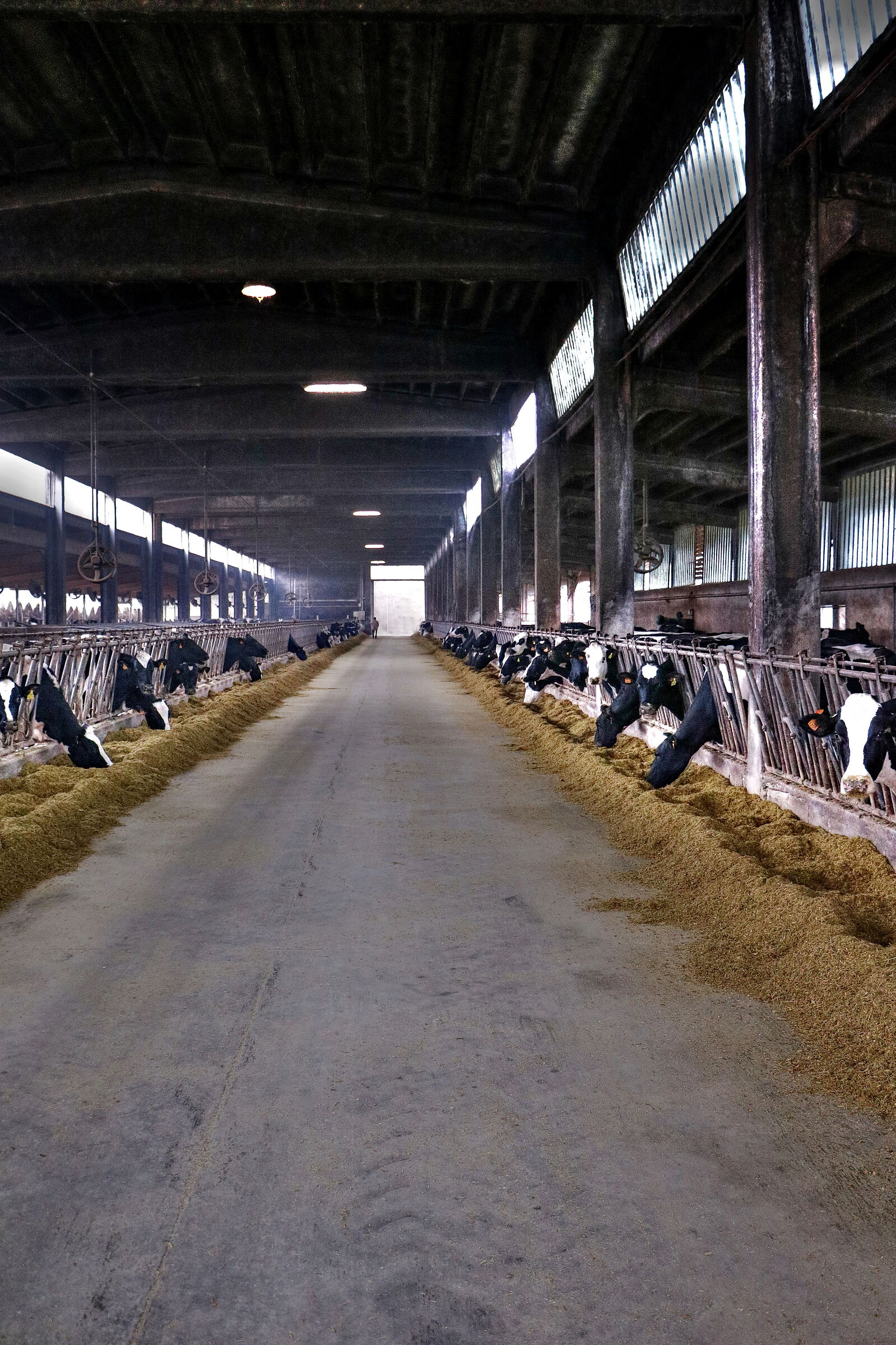 I photographed the Milky Way!