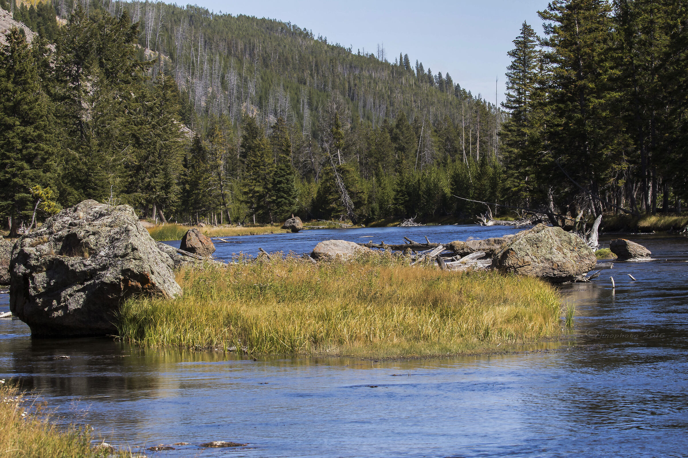 Yellowstone National Park