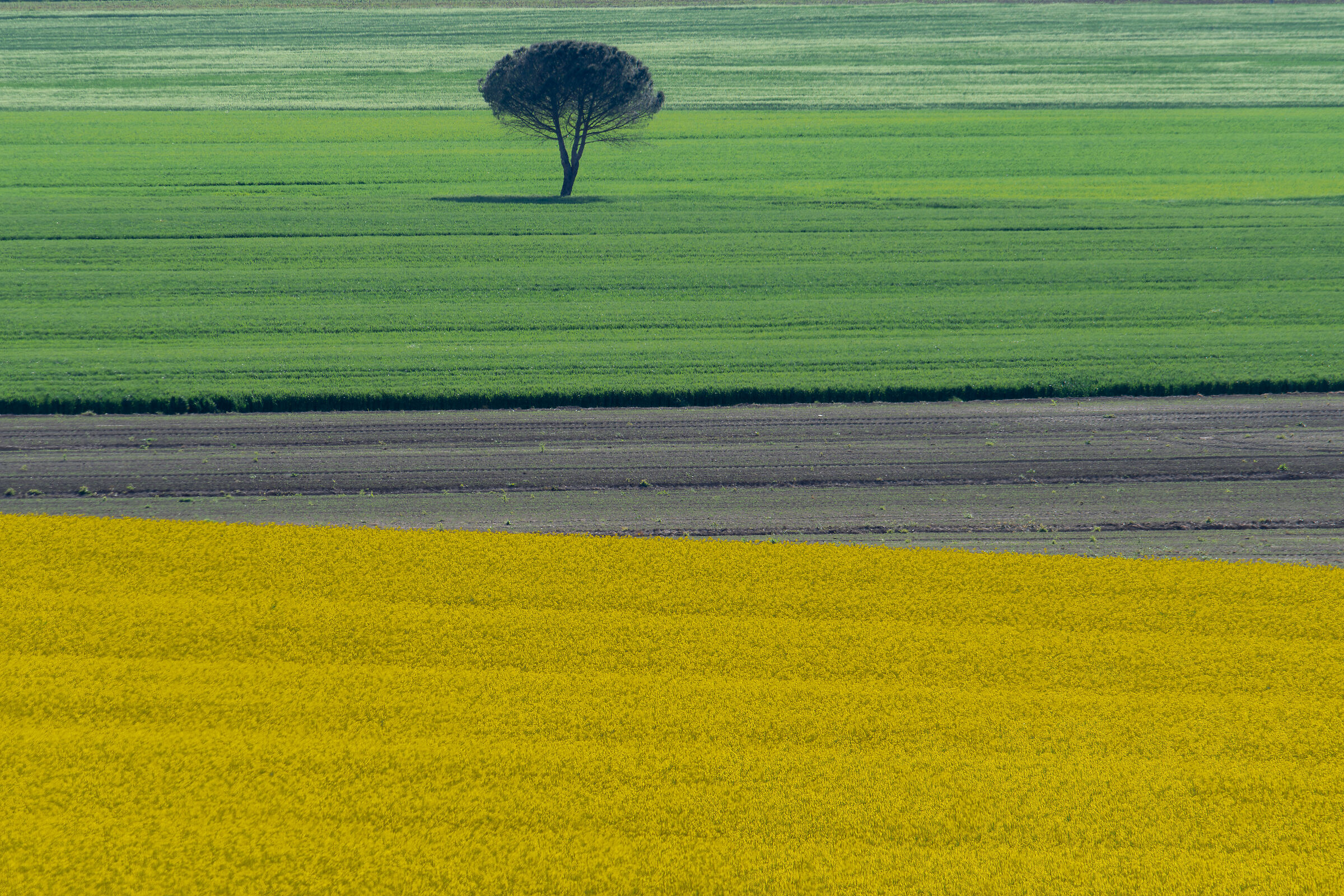 Natural geometries