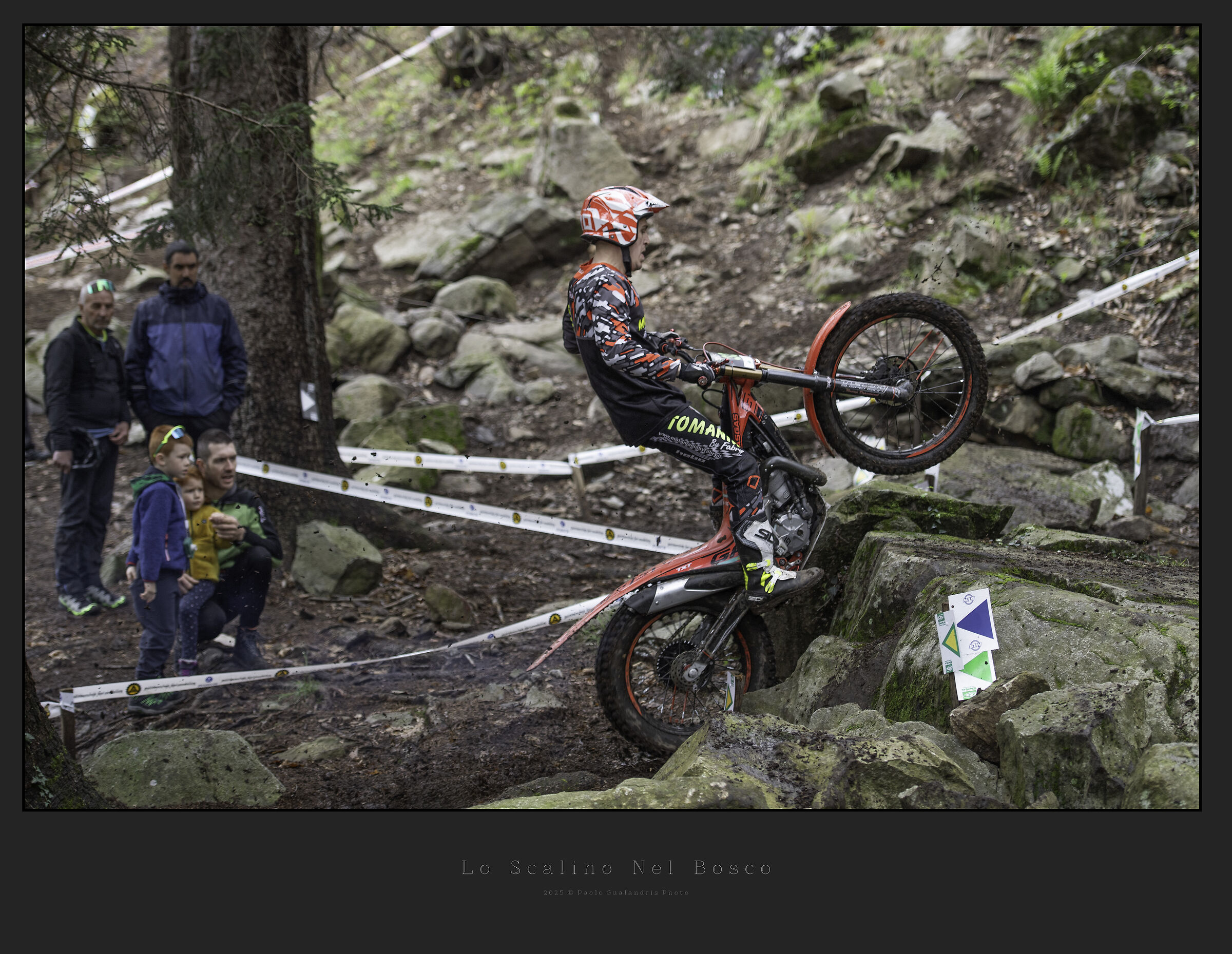 Lo Scalino Nel Bosco