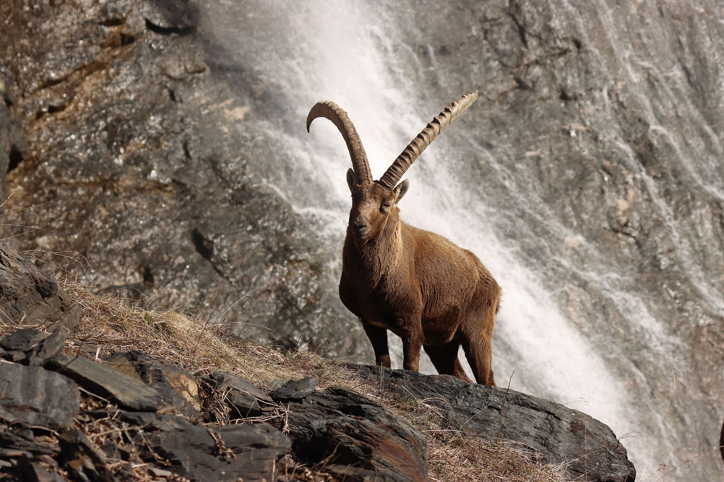 sculptural at the waterfall