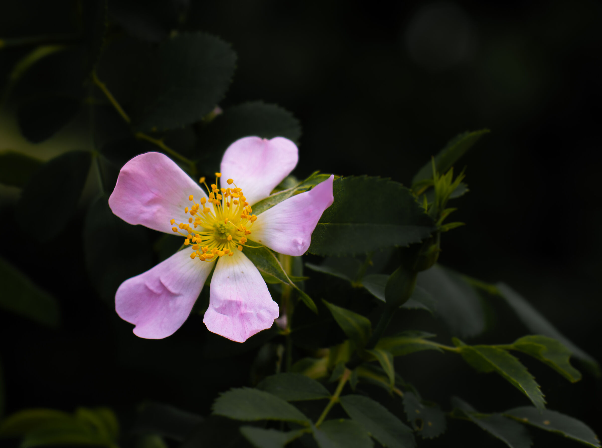 Untitled Photo