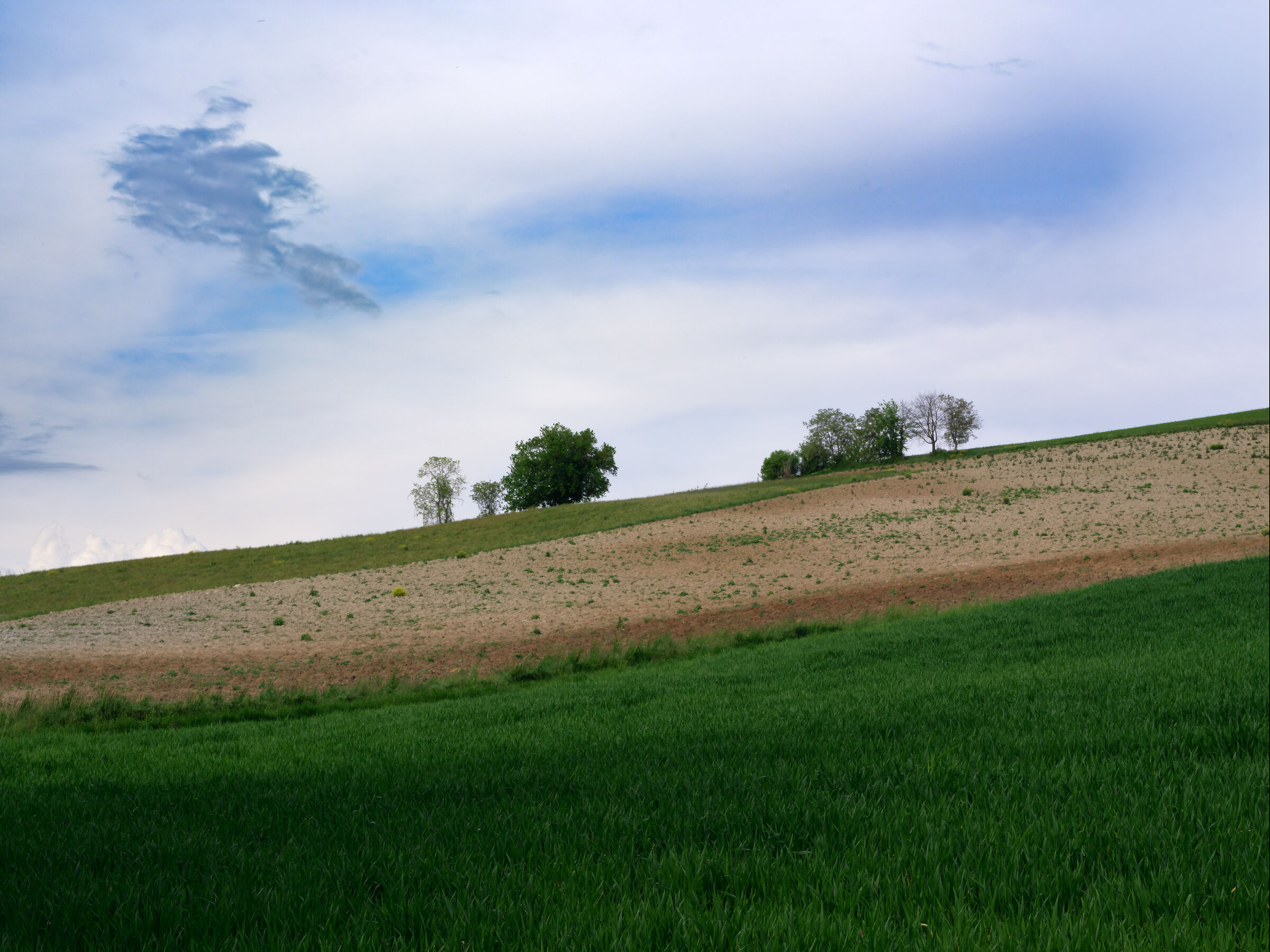 Hill