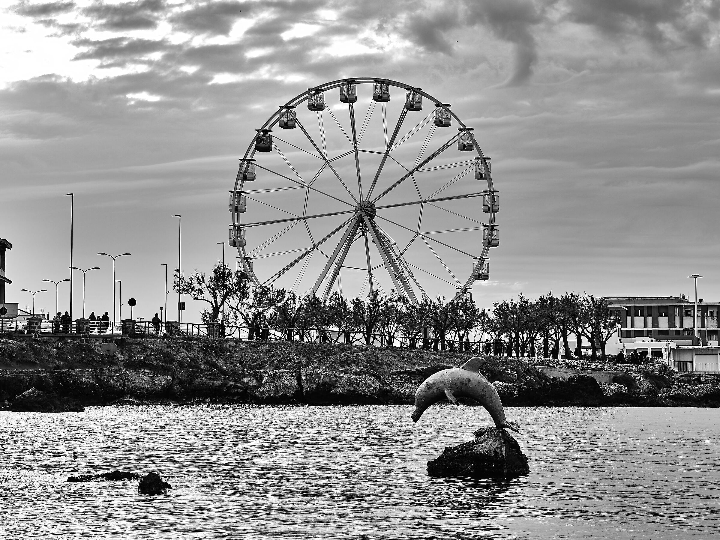 Delfino e ruota panoramica